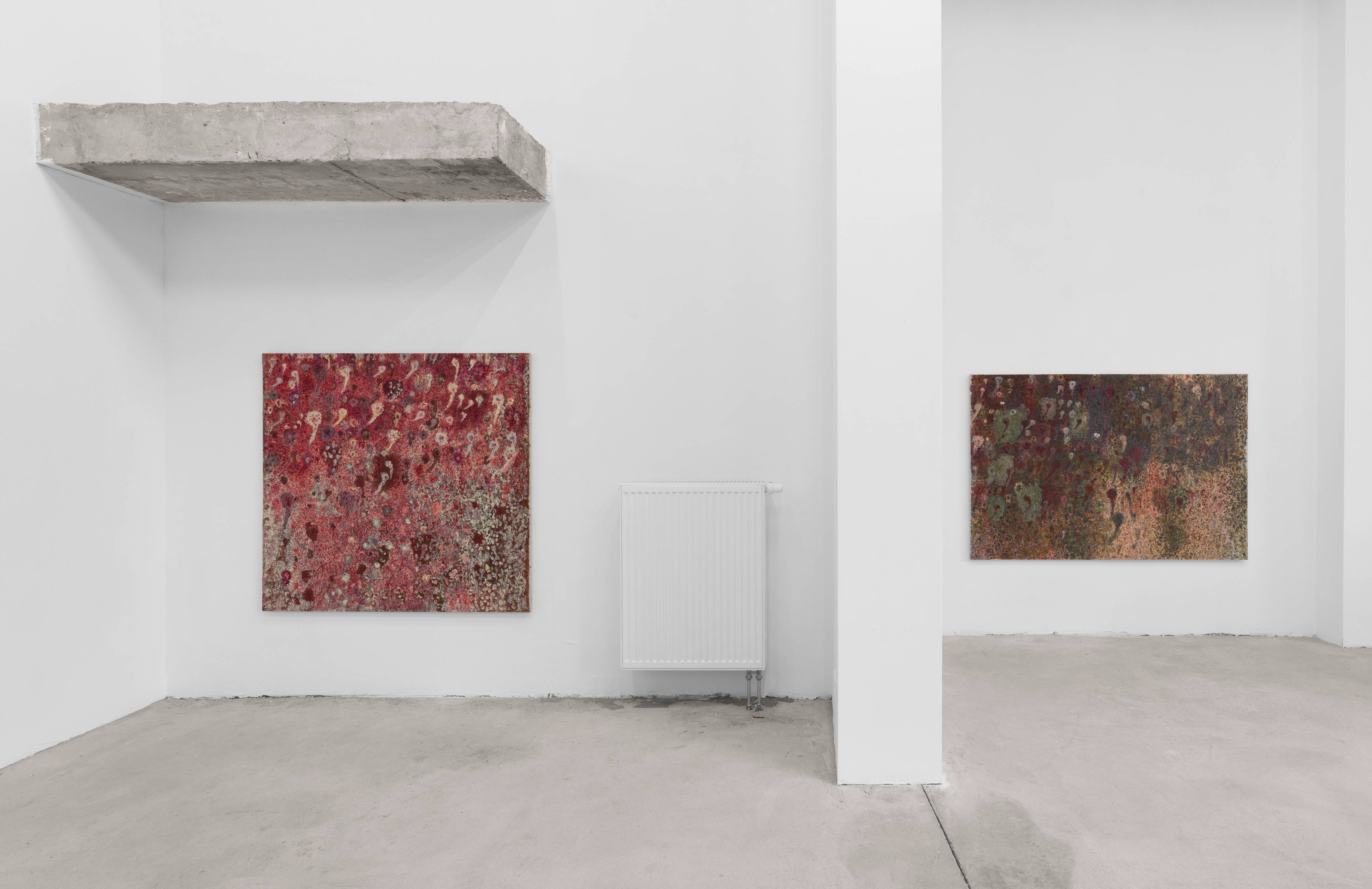 Media © Sweetwater 2025