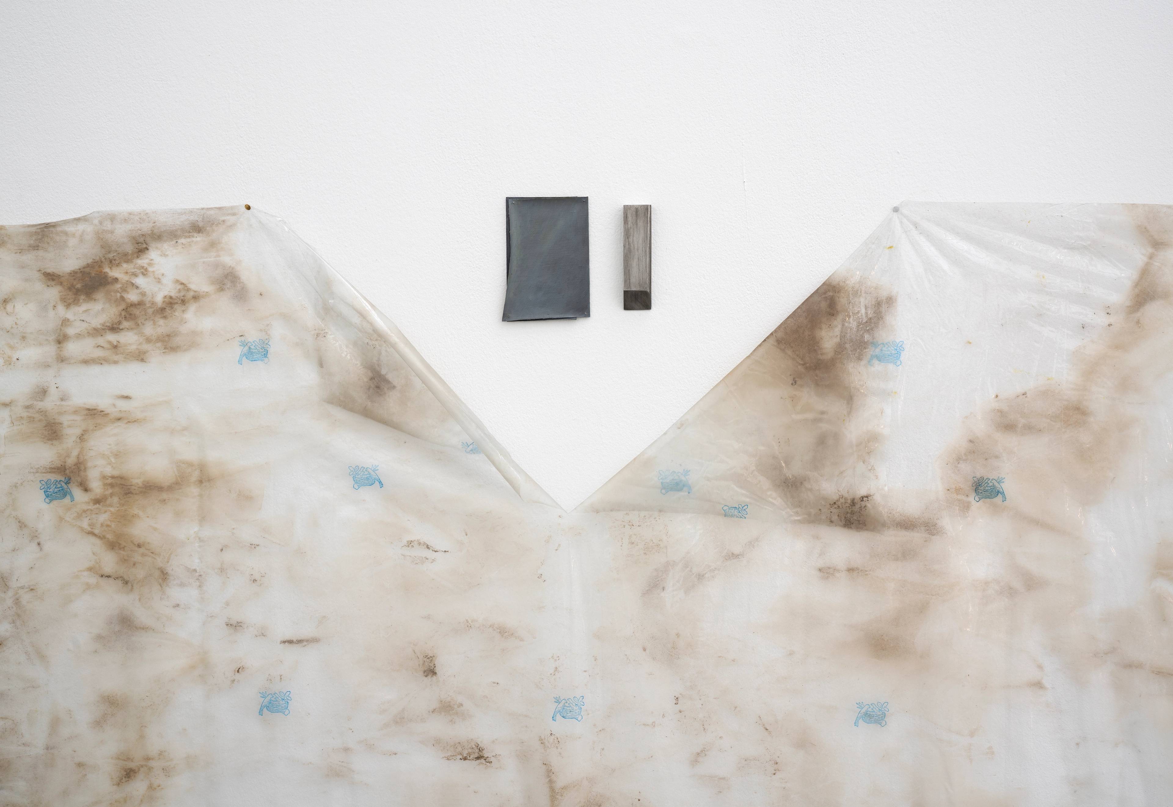 Media © Sweetwater 2025