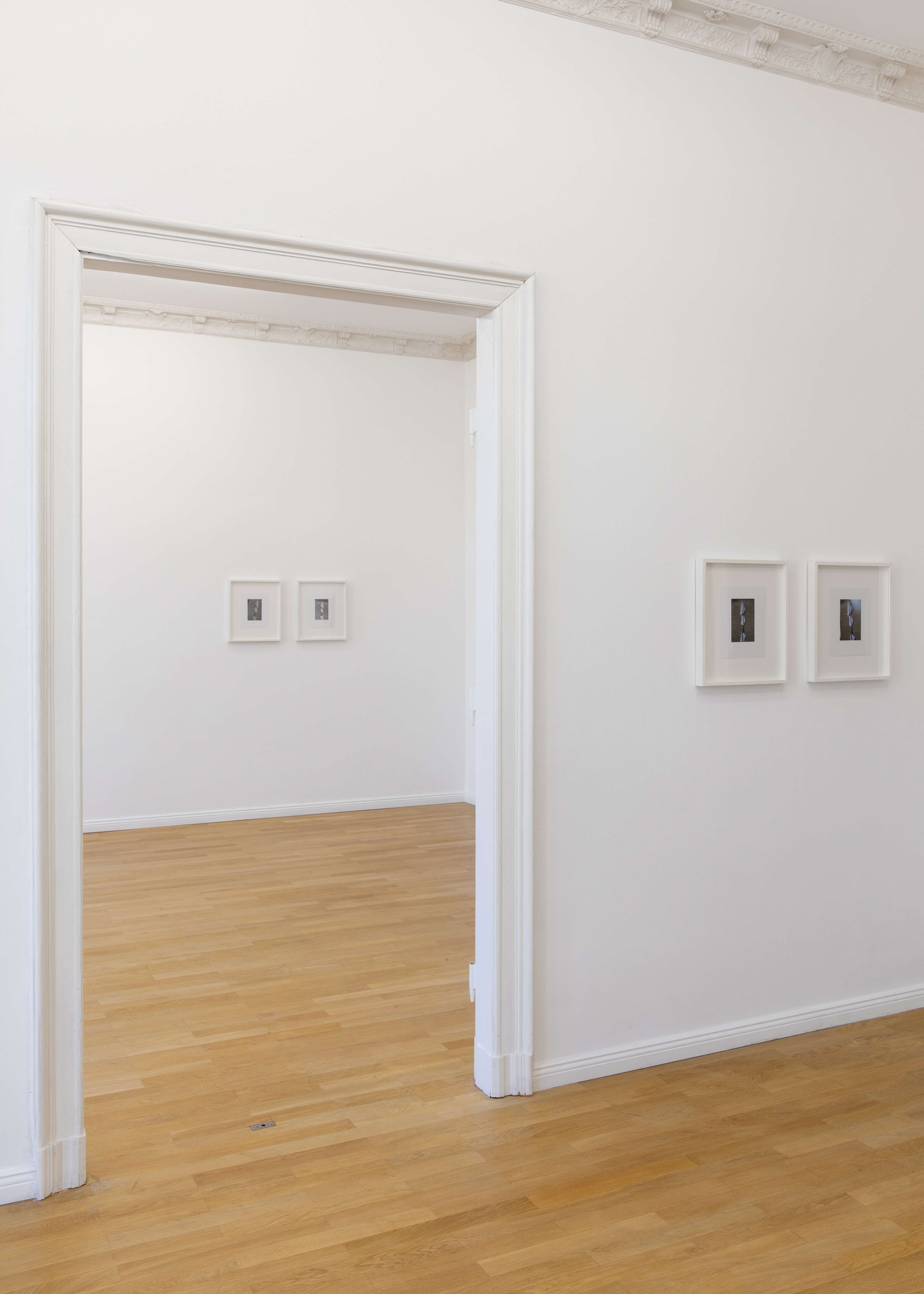 Media © Sweetwater 2025