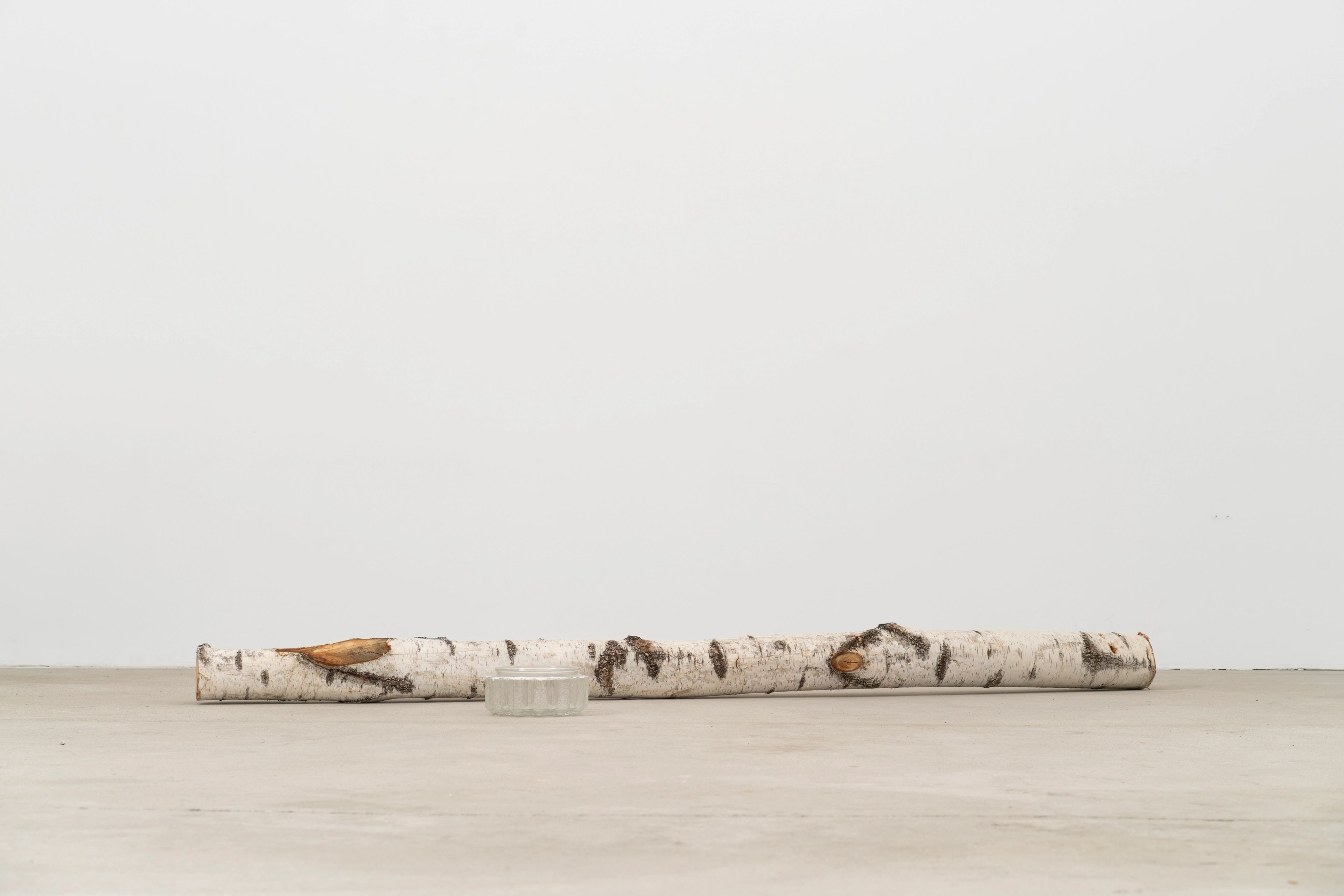 Constantin Thun