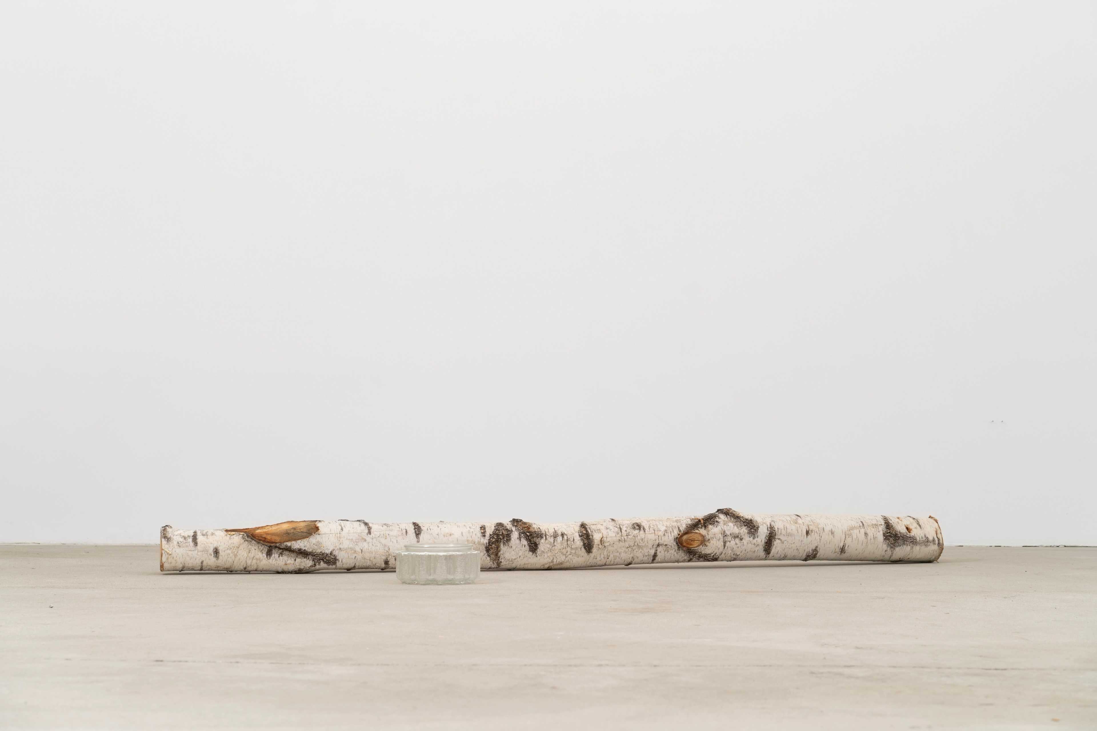 Constantin Thun