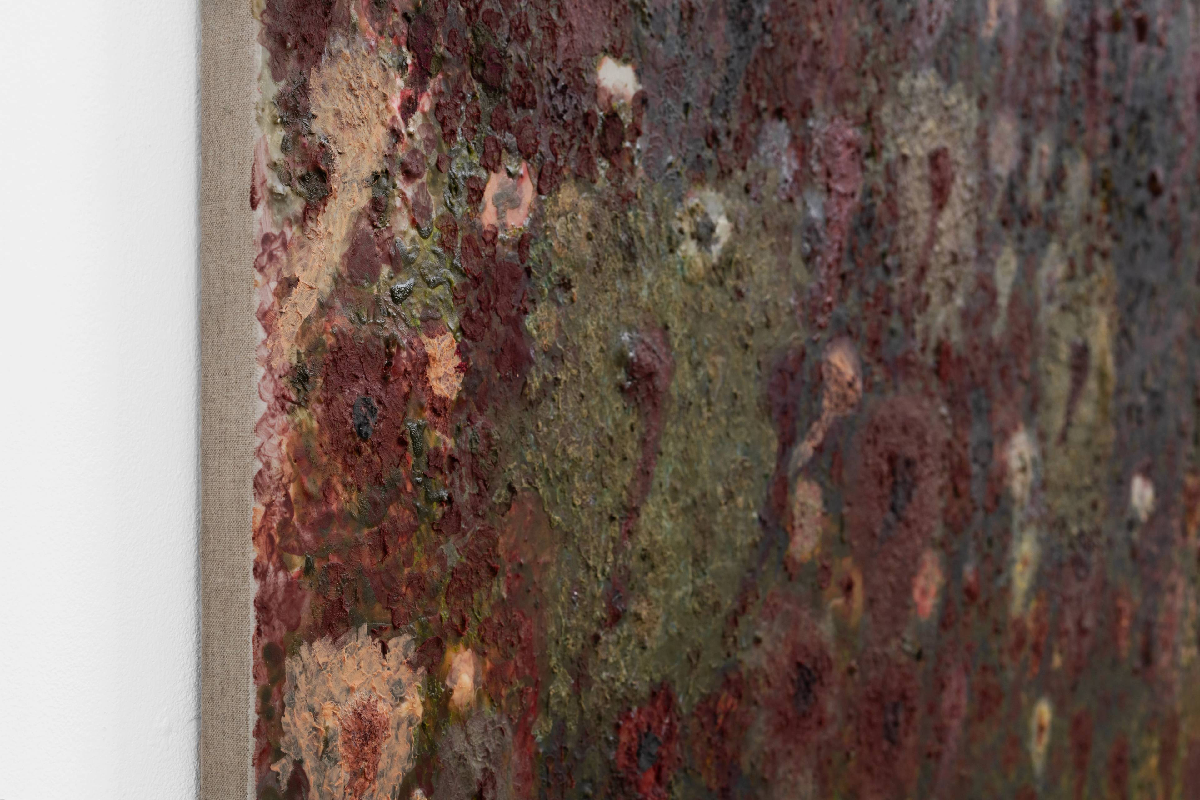 Media © Sweetwater 2025