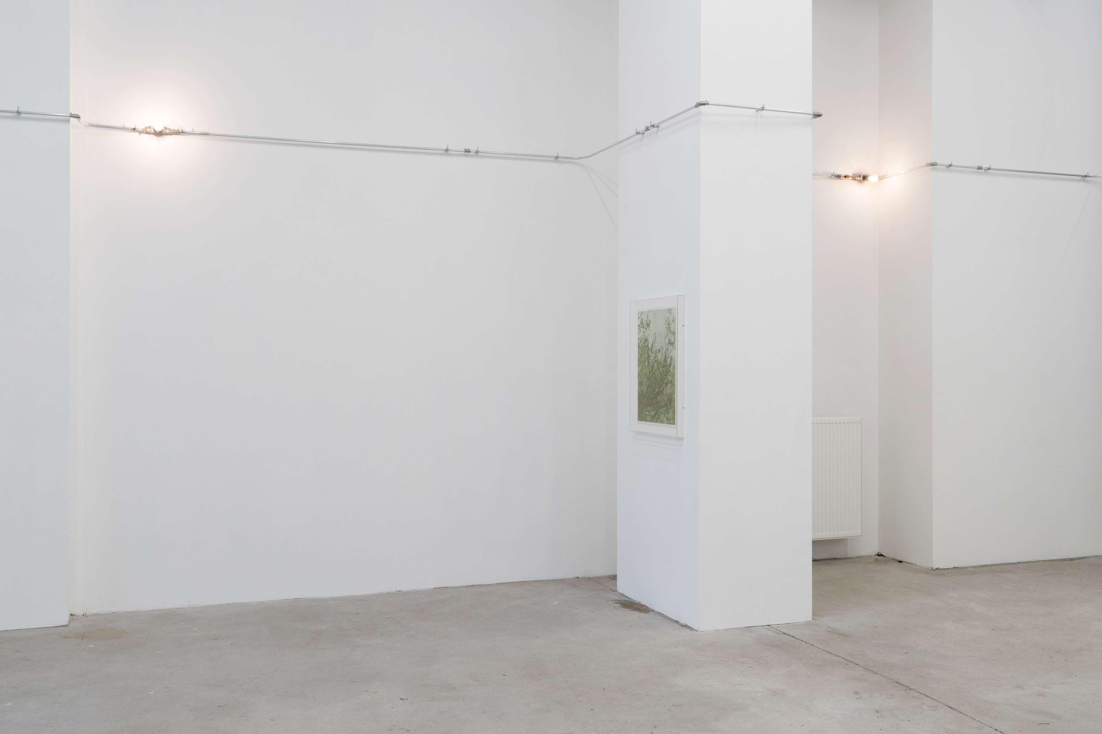 Media © Sweetwater 2025