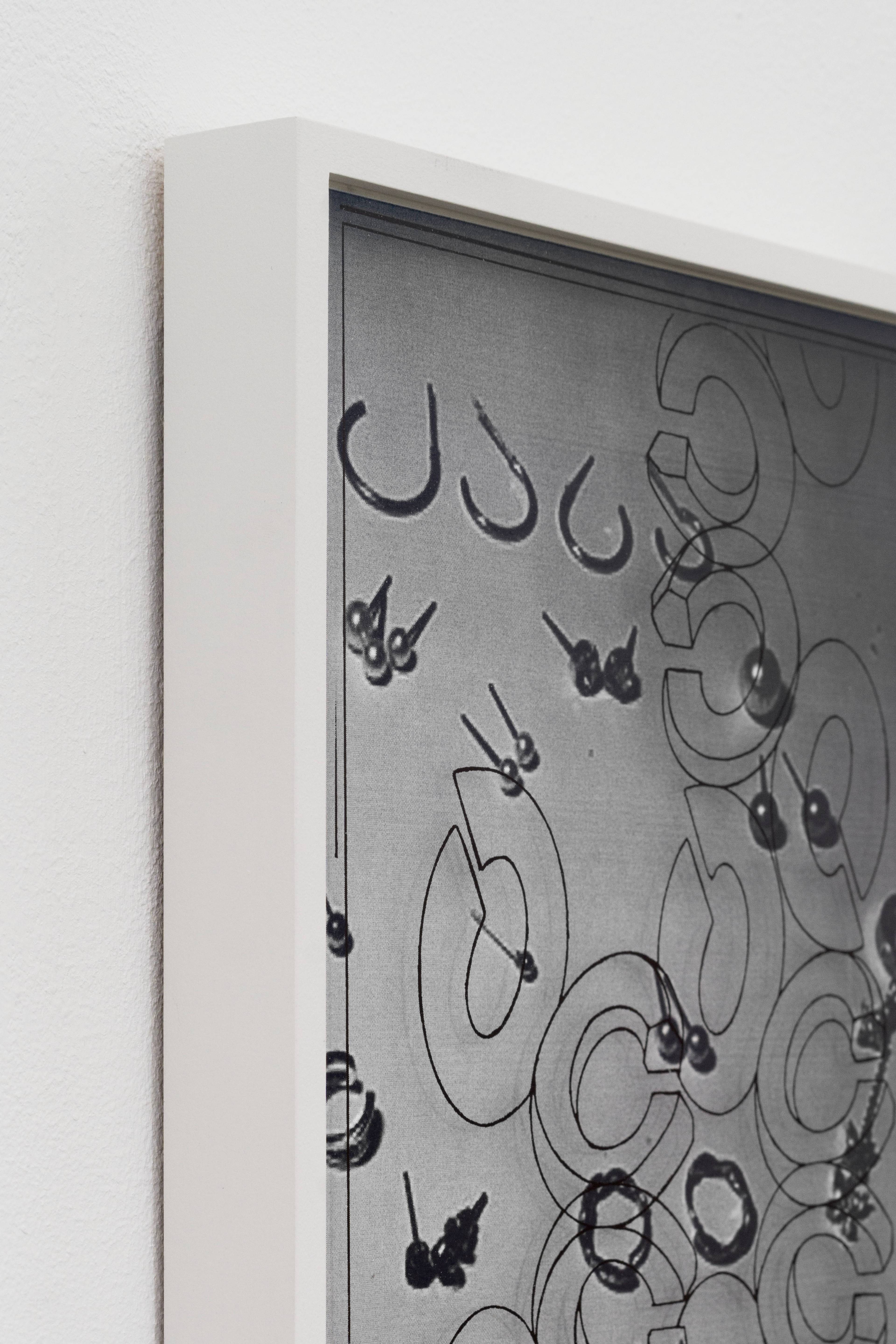 Media © Sweetwater 2025