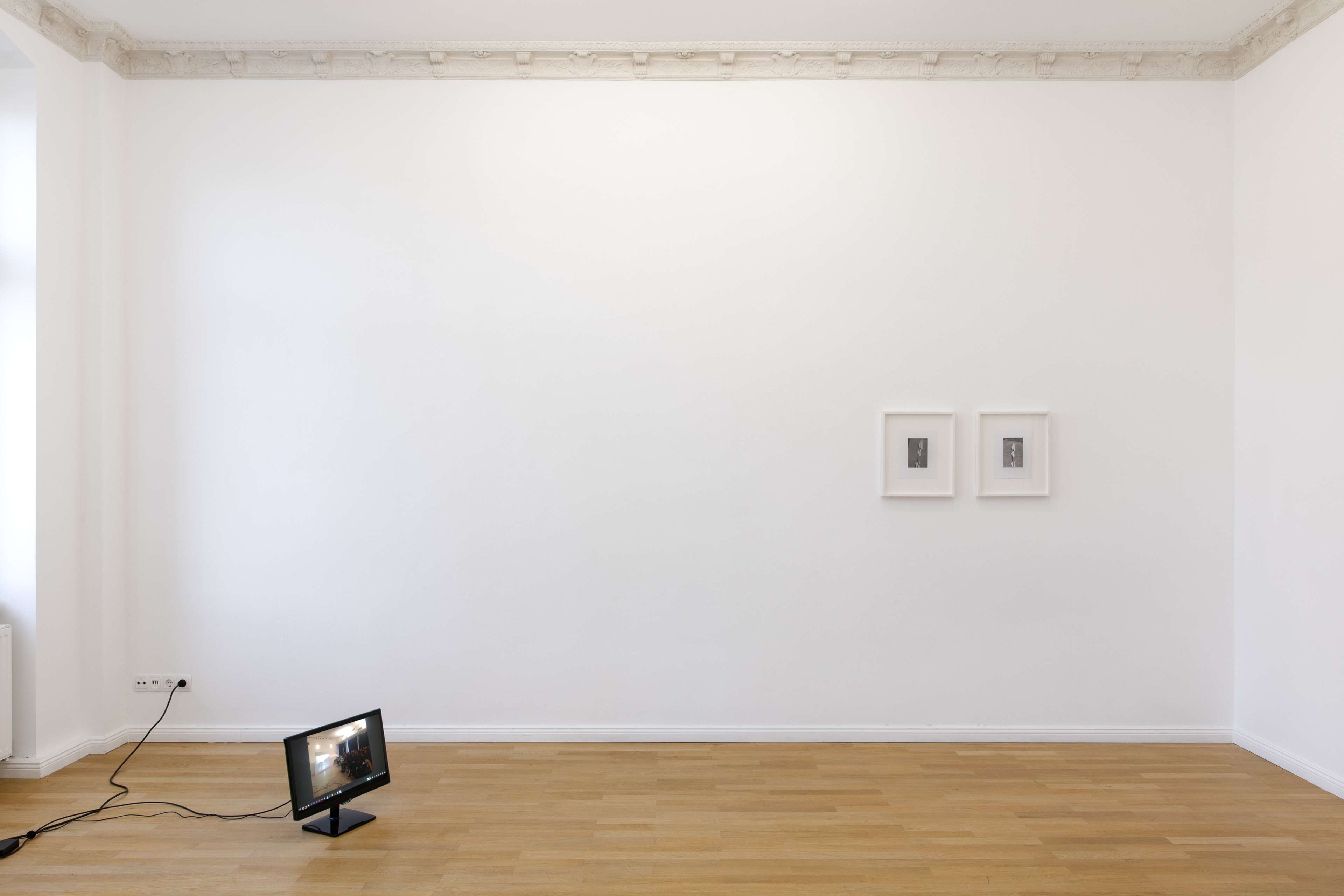 Media © Sweetwater 2025