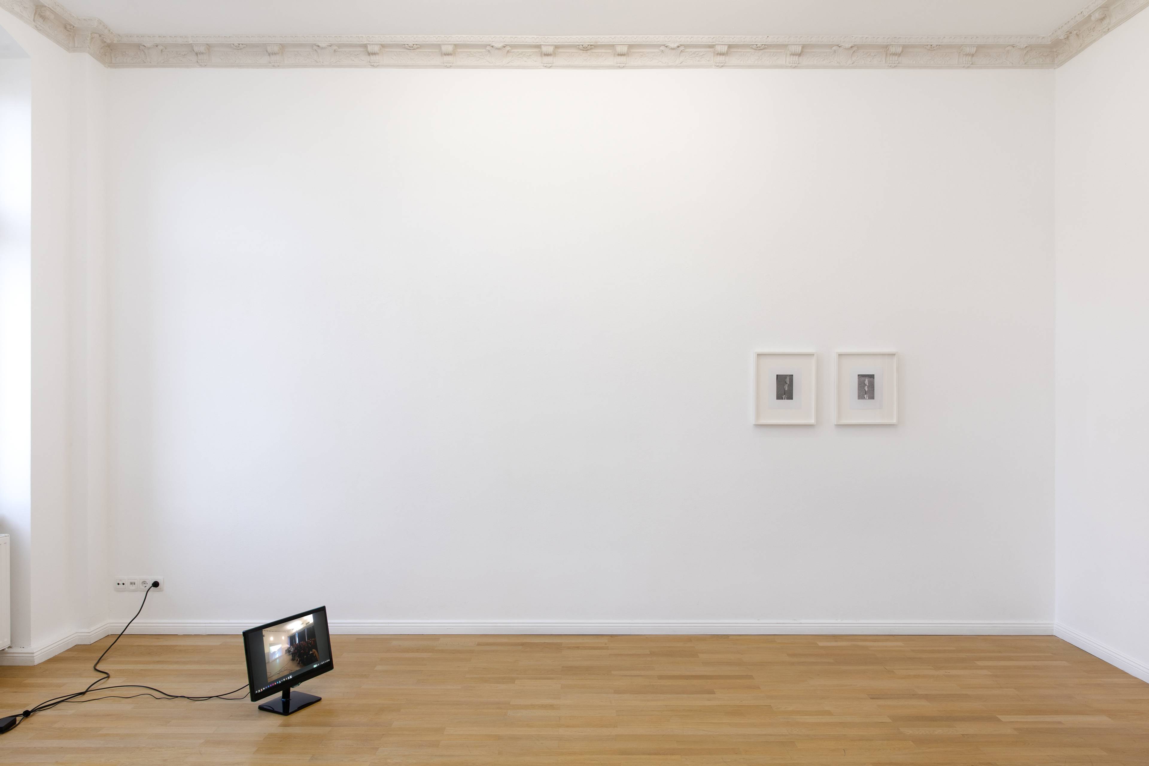 Media © Sweetwater 2025