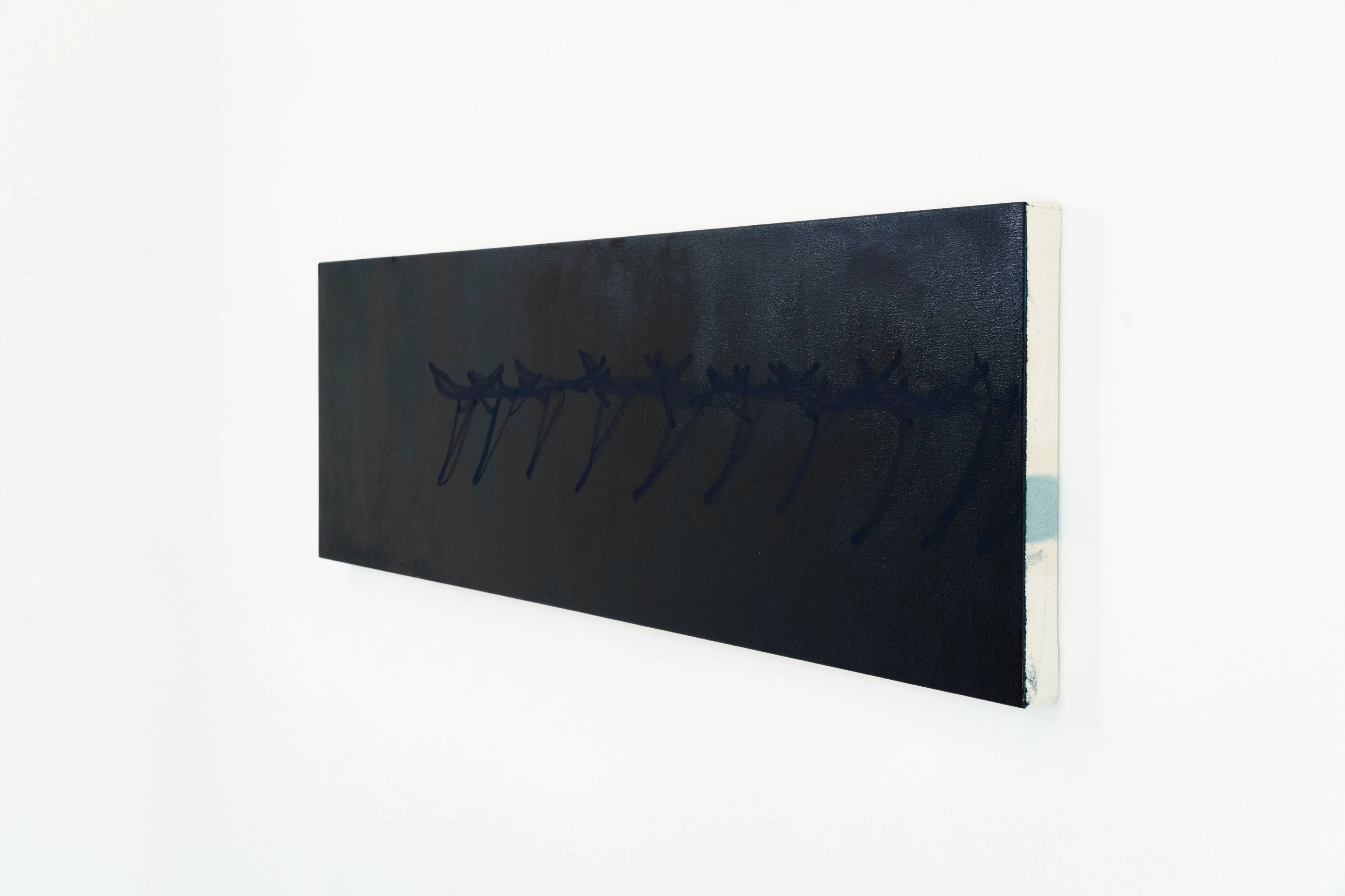 Media © Sweetwater 2025