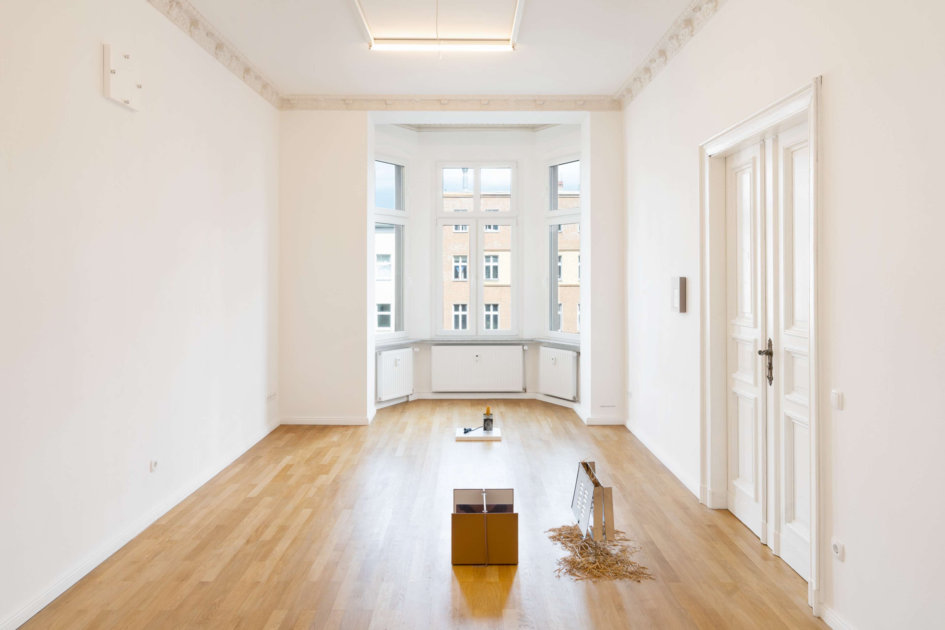 Media © Sweetwater 2025