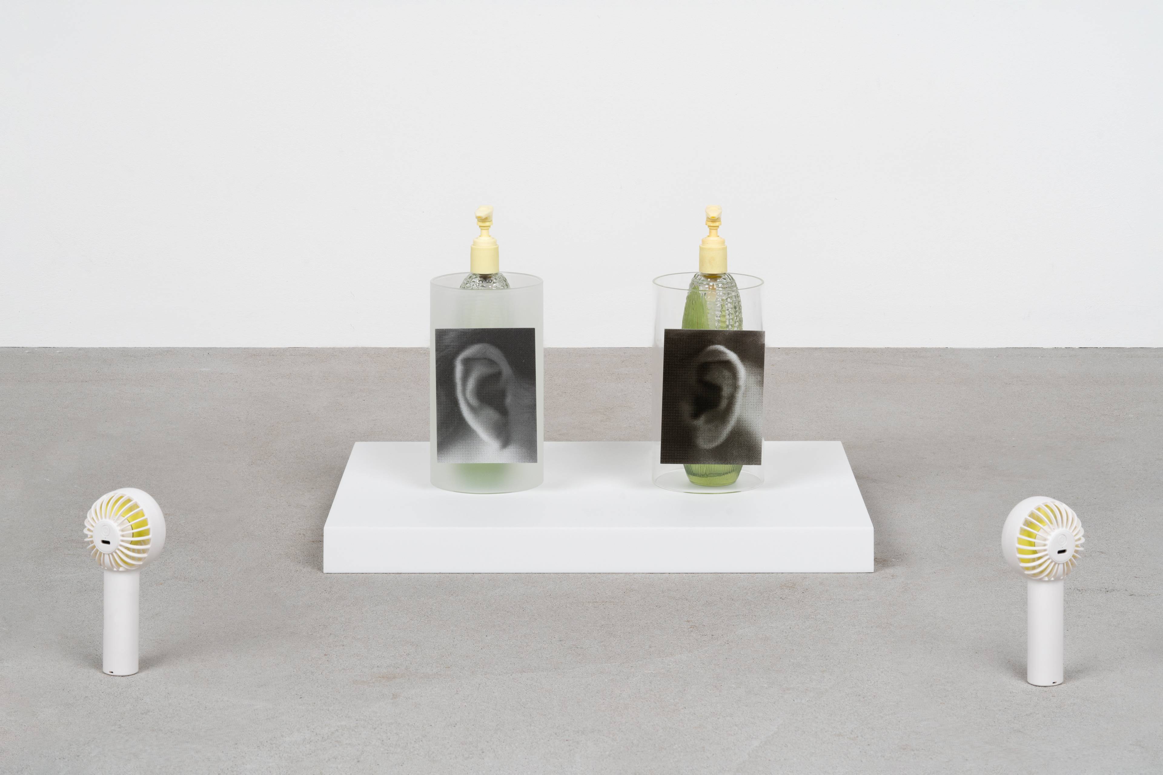 Media © Sweetwater 2025