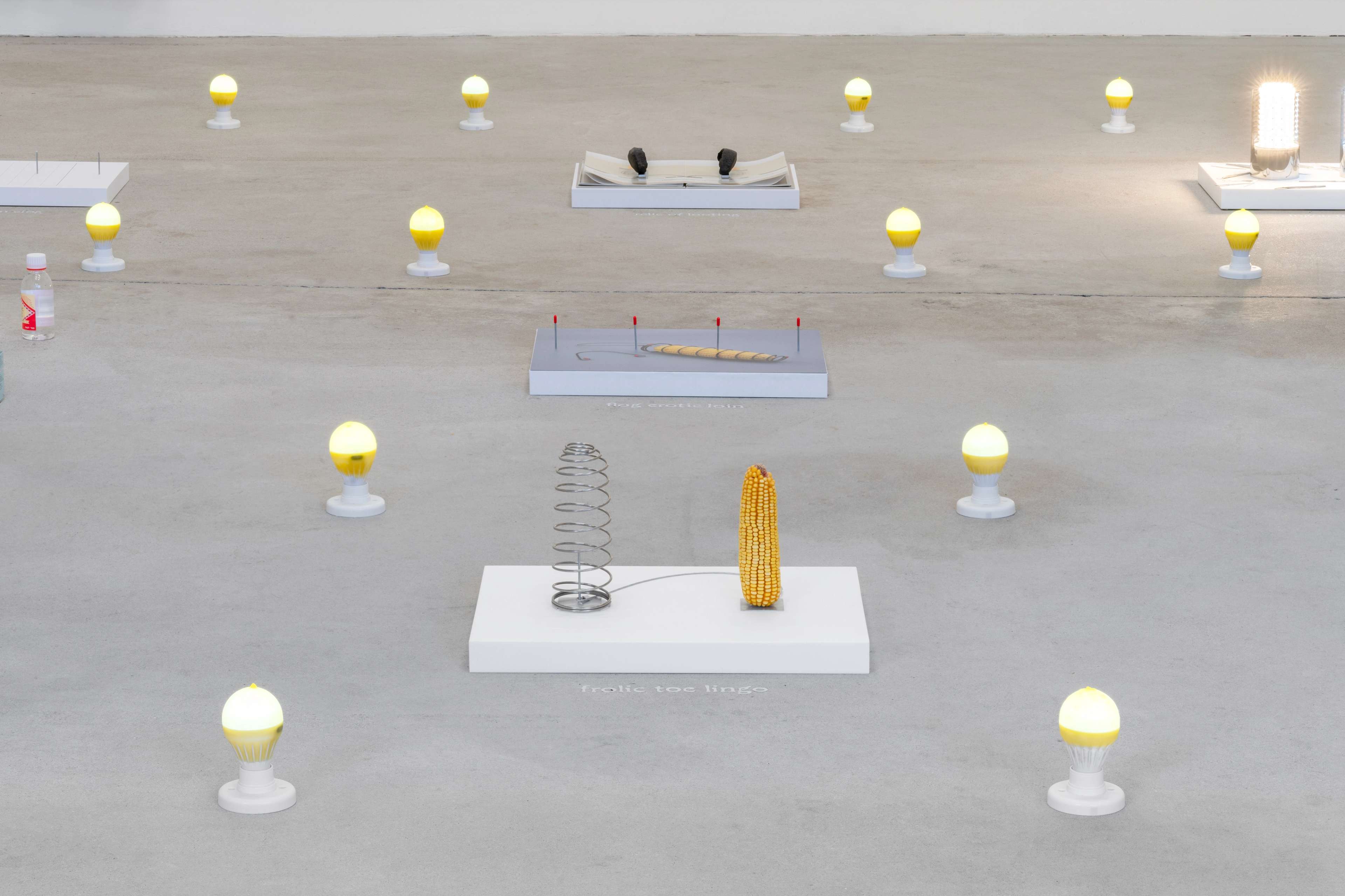 Media © Sweetwater 2025