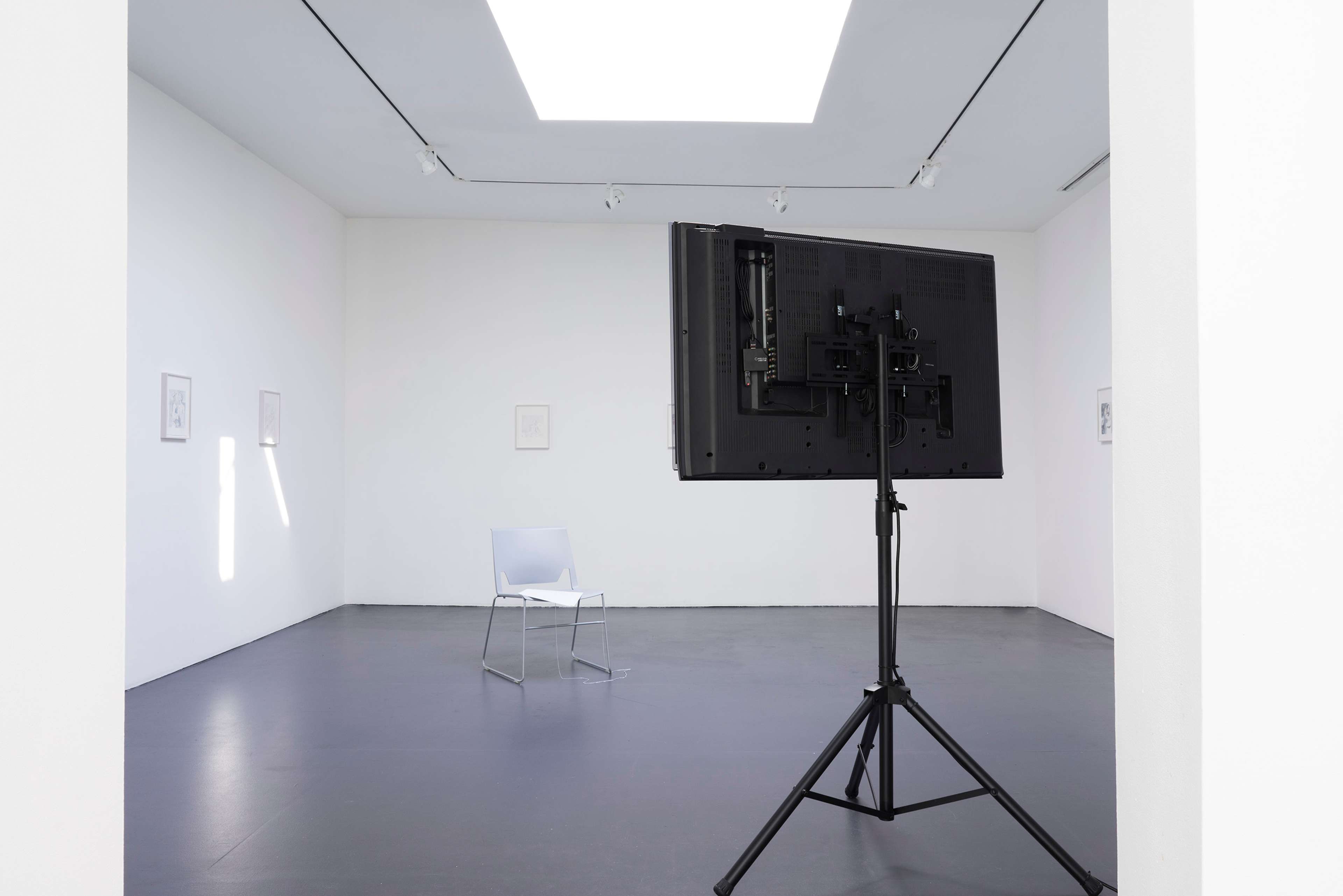 Media © Sweetwater 2025