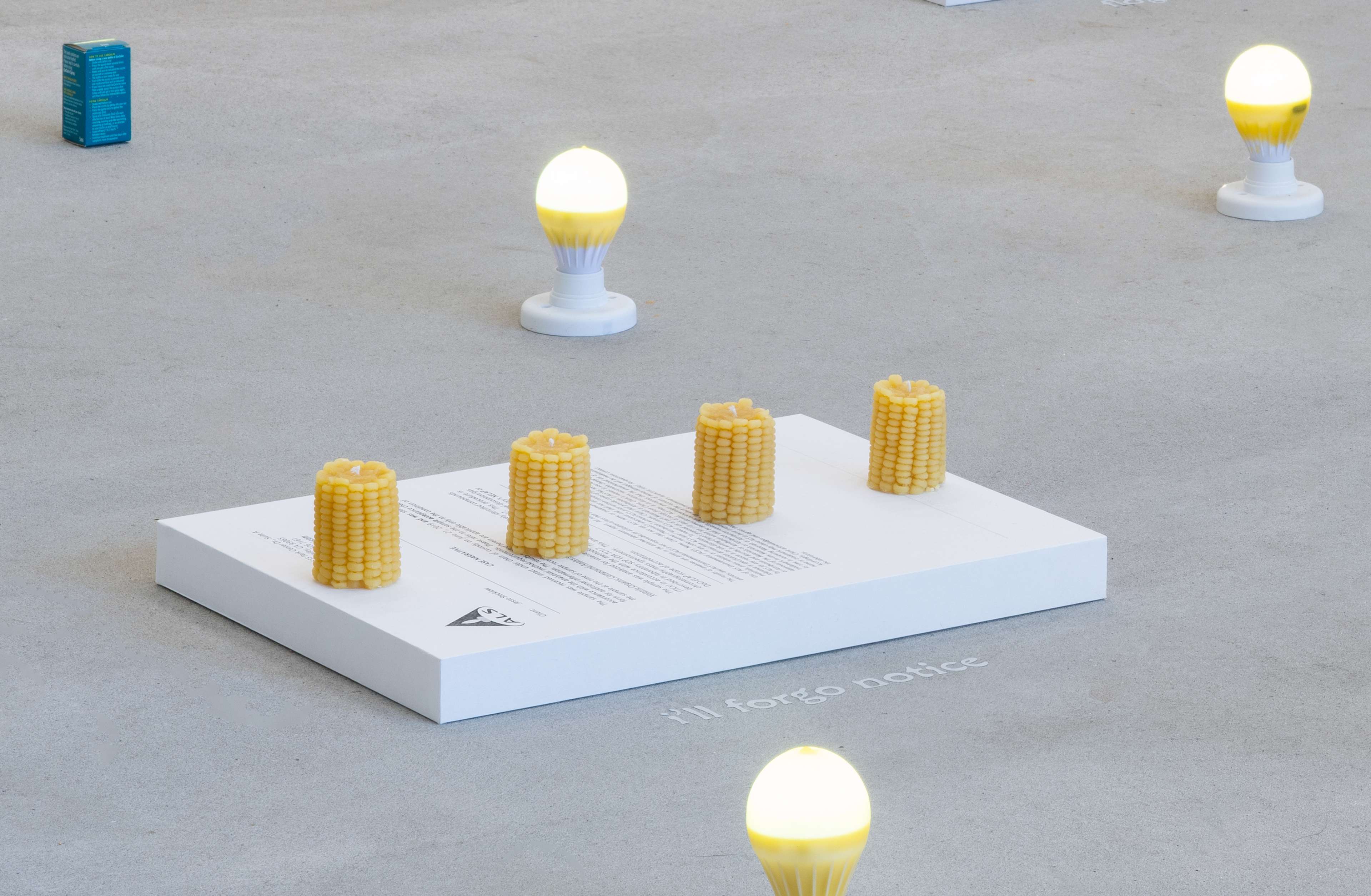 Media © Sweetwater 2025