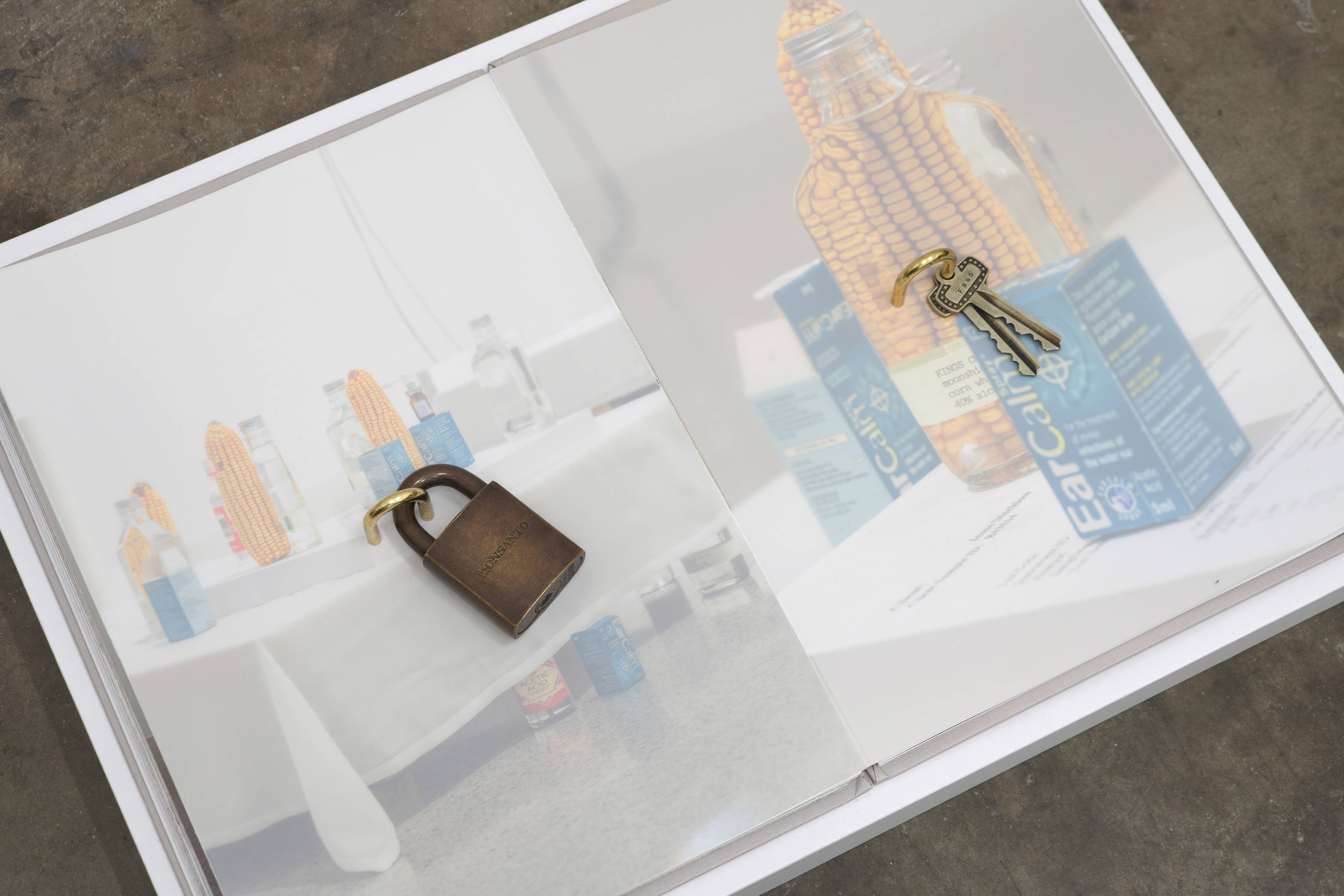 Media © Sweetwater 2025