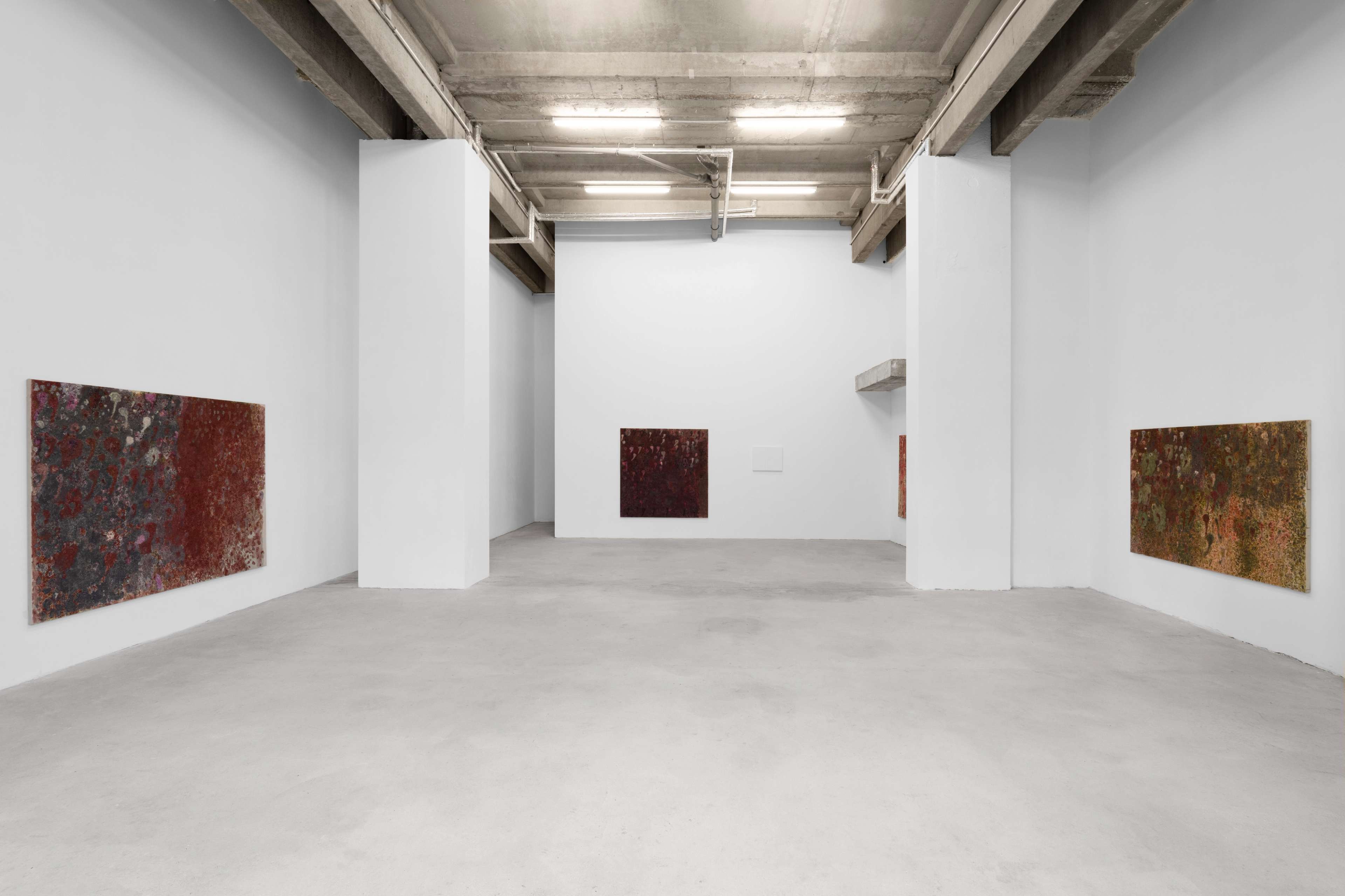 Media © Sweetwater 2025