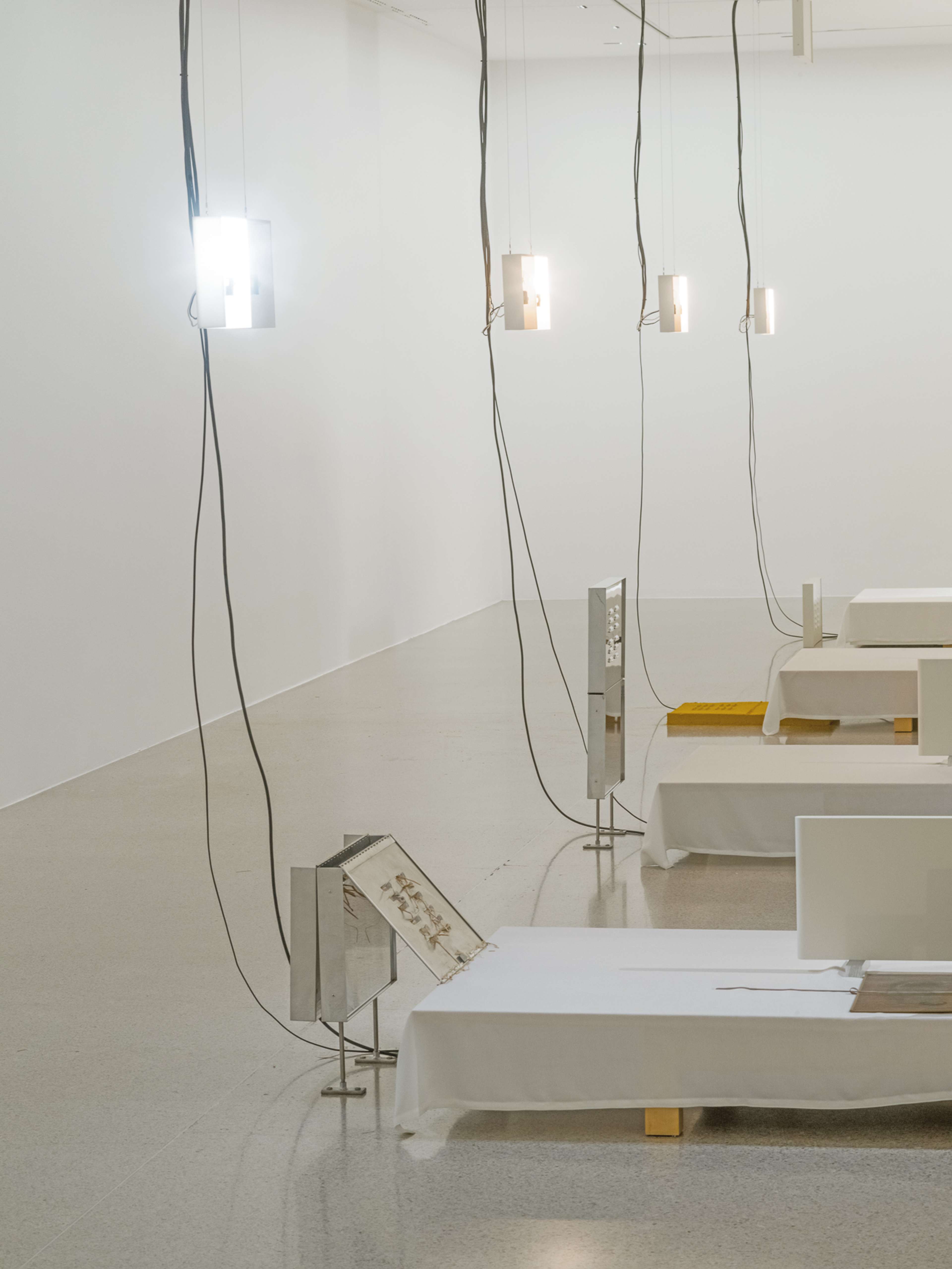 Media © Sweetwater 2025