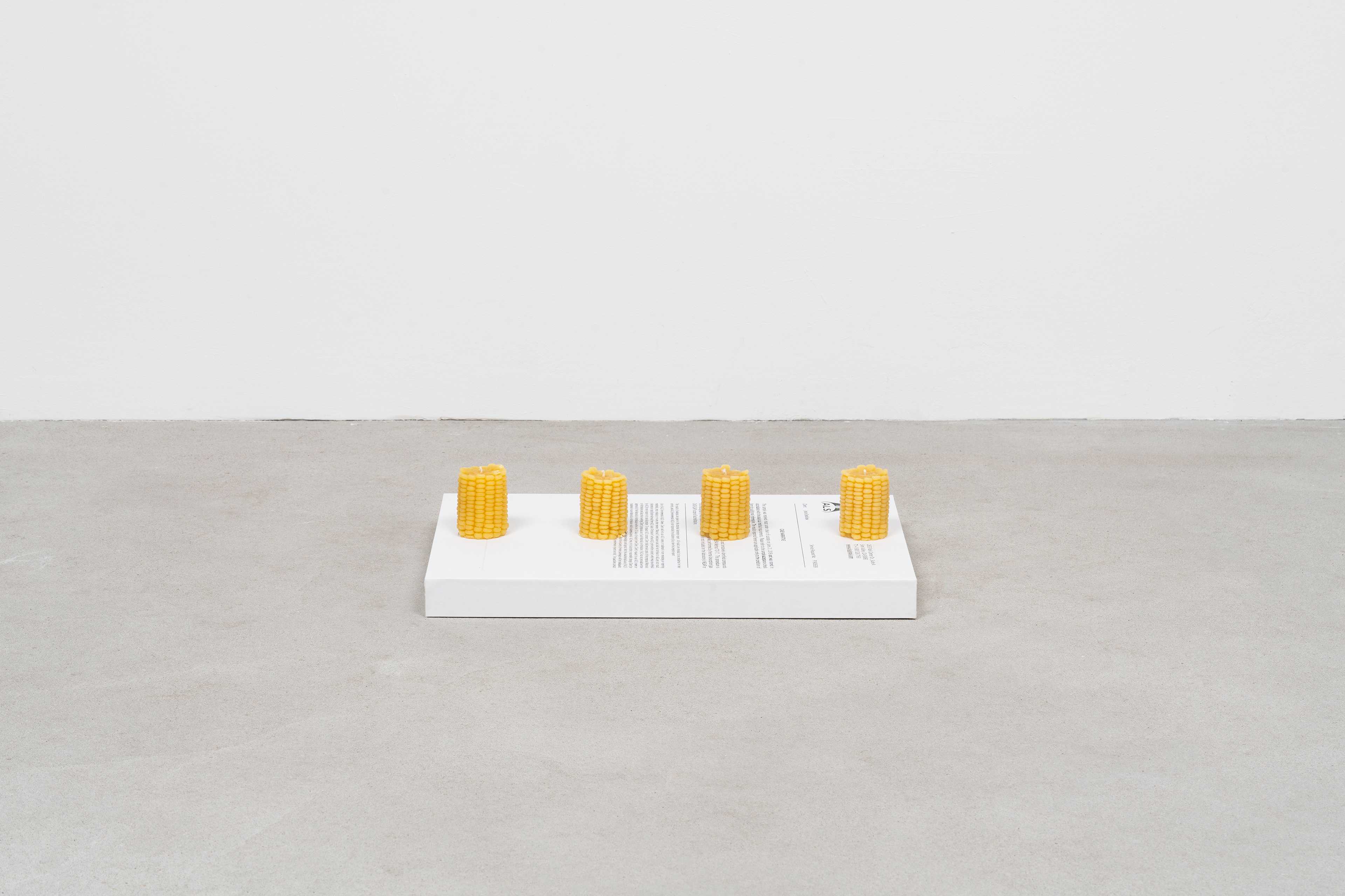 Jesse Stecklow