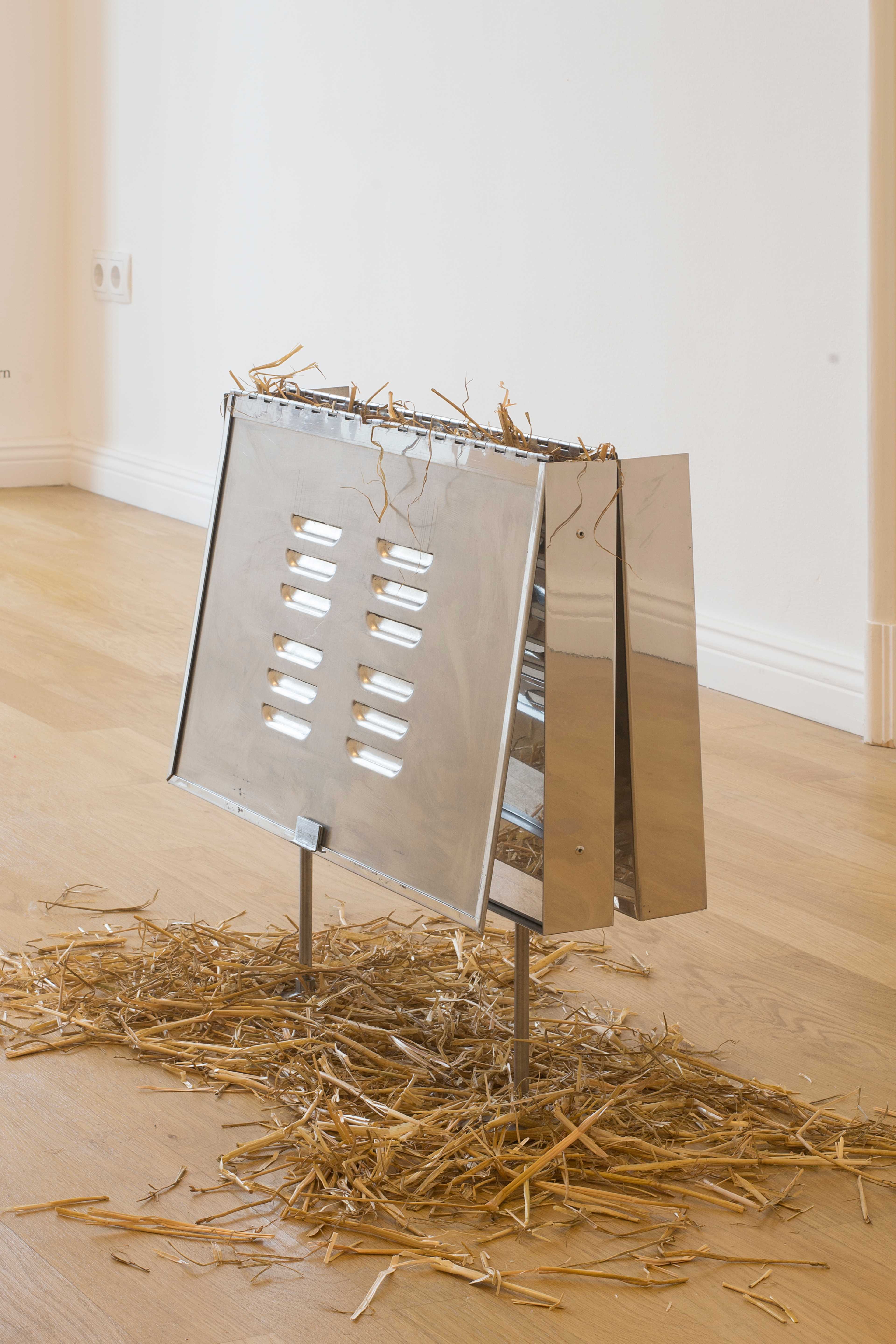 Jesse Stecklow