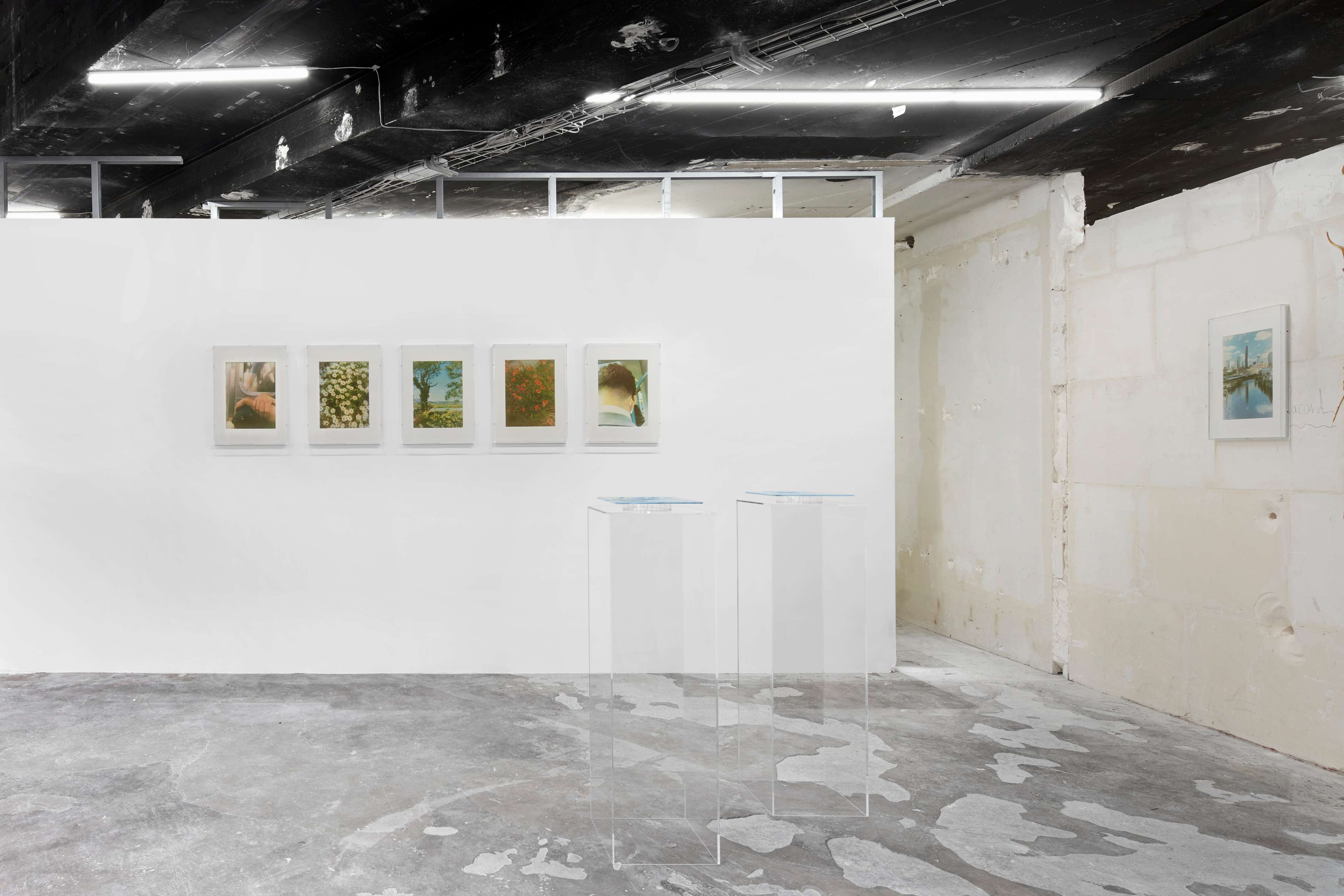 Media © Sweetwater 2025