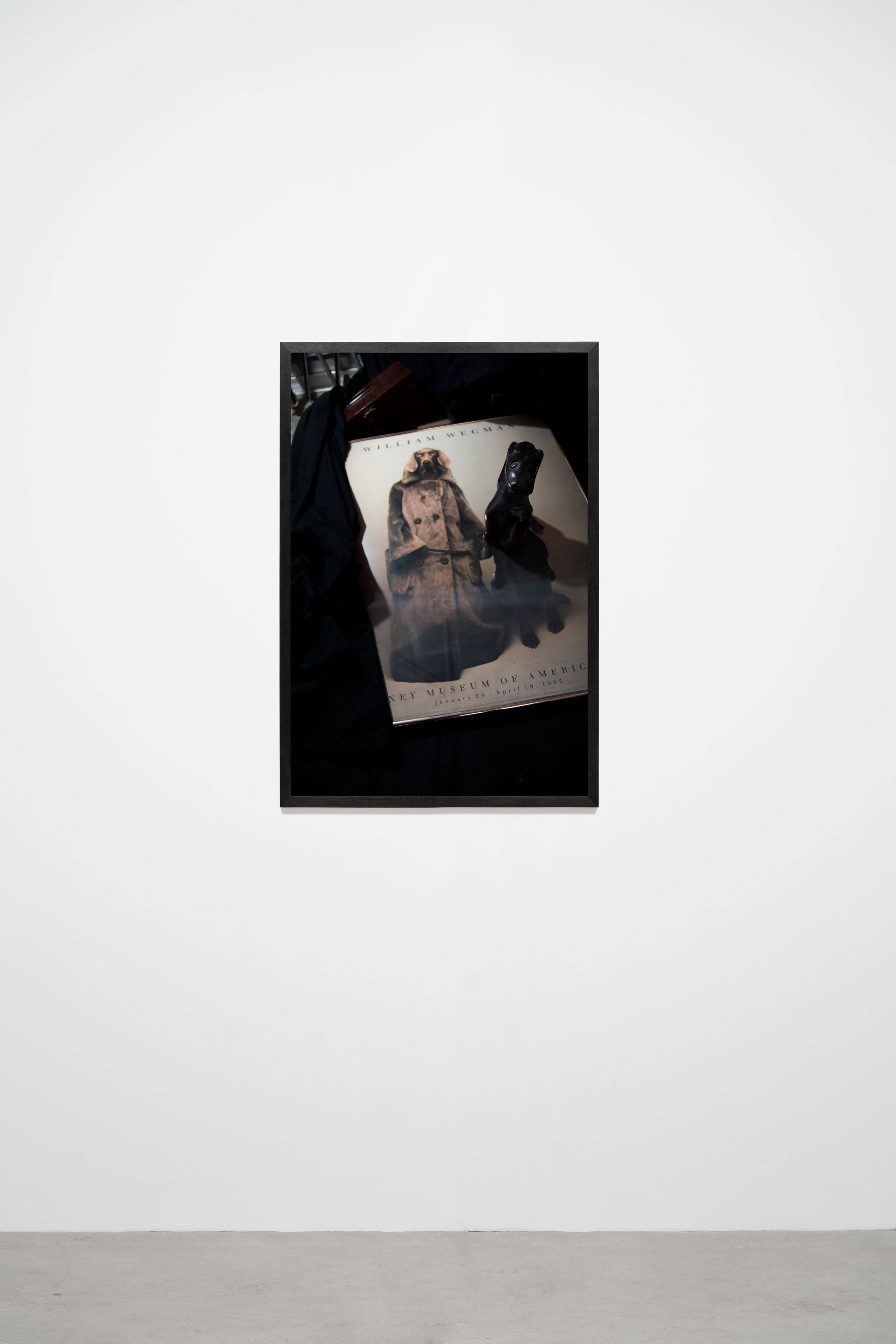 Media © Sweetwater 2025