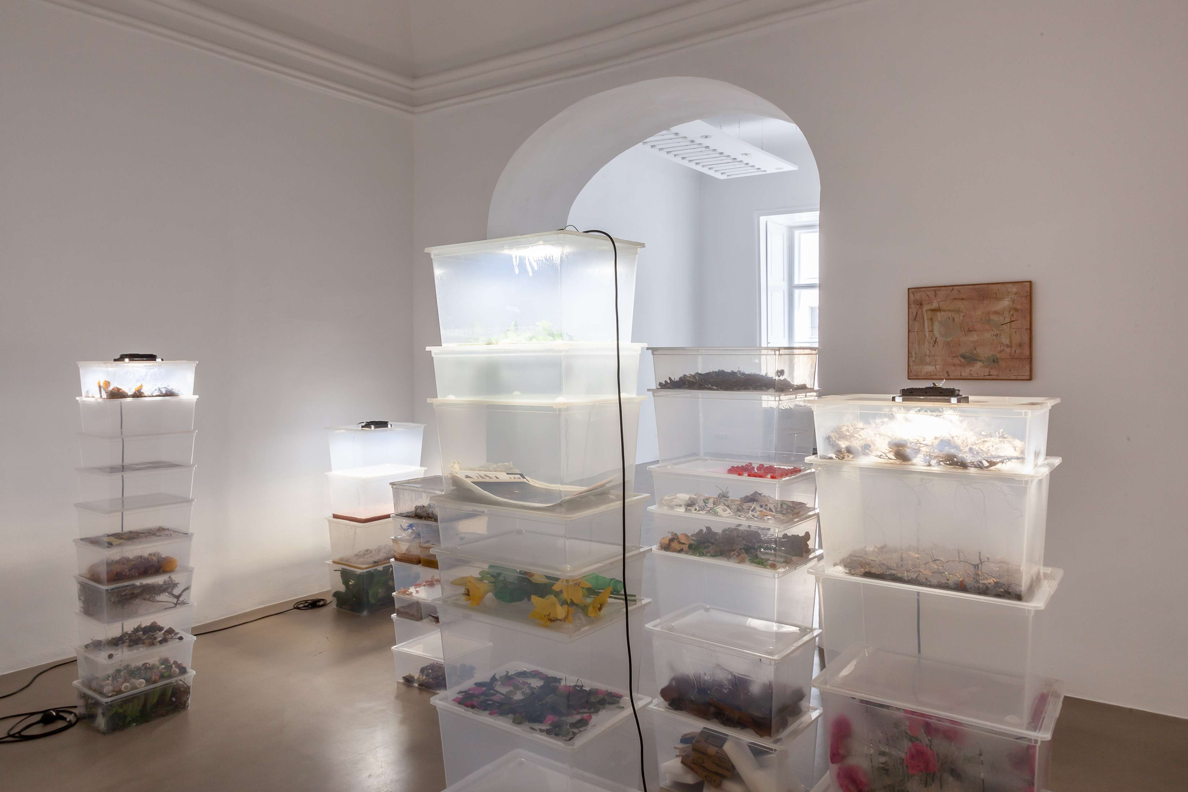 Evelina Jonsson, Sånt som faller (That which falls), Courtesy: the artist and Charim Gallery; photograph: Flavio Palasciano