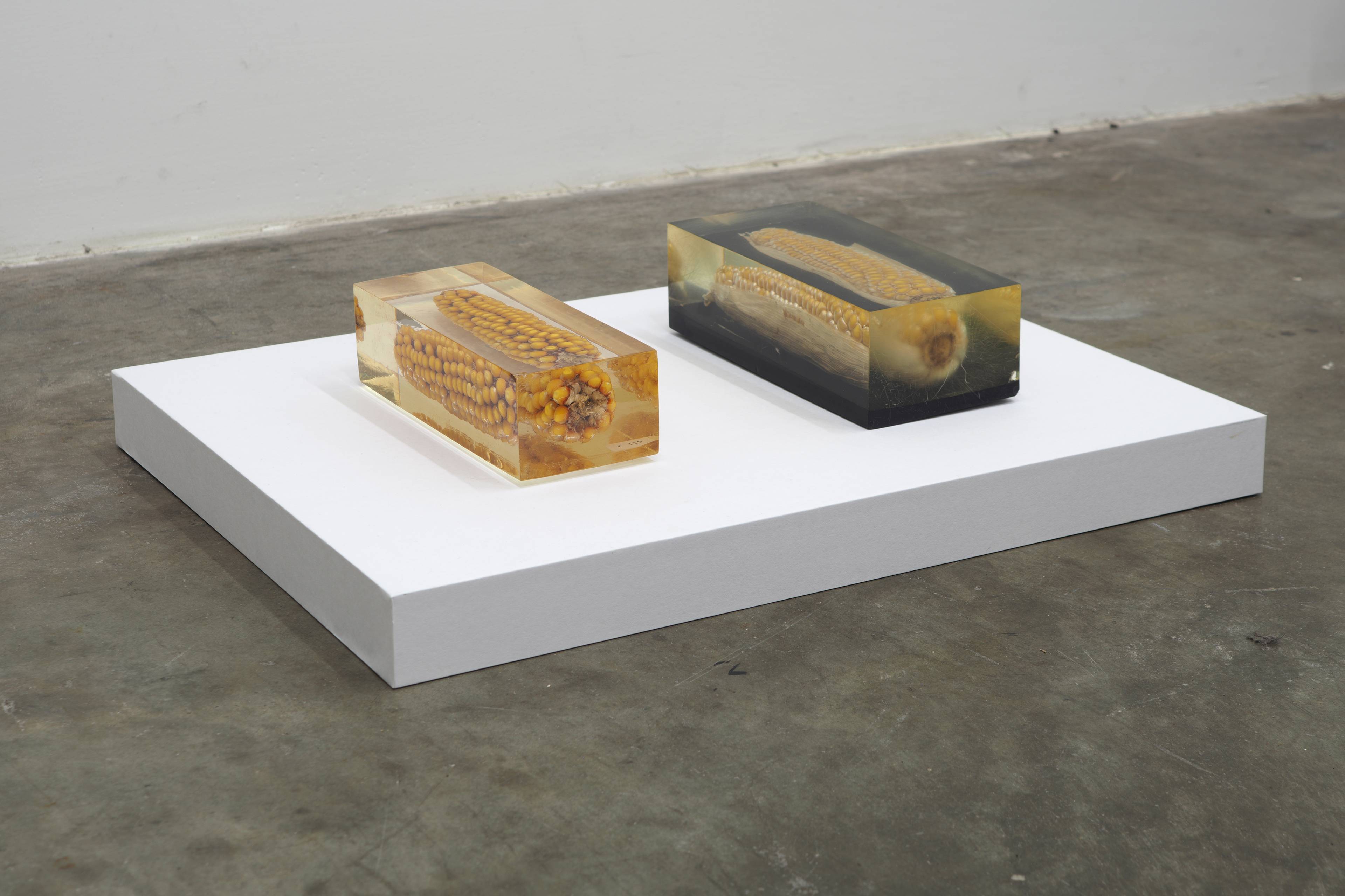 Media © Sweetwater 2025