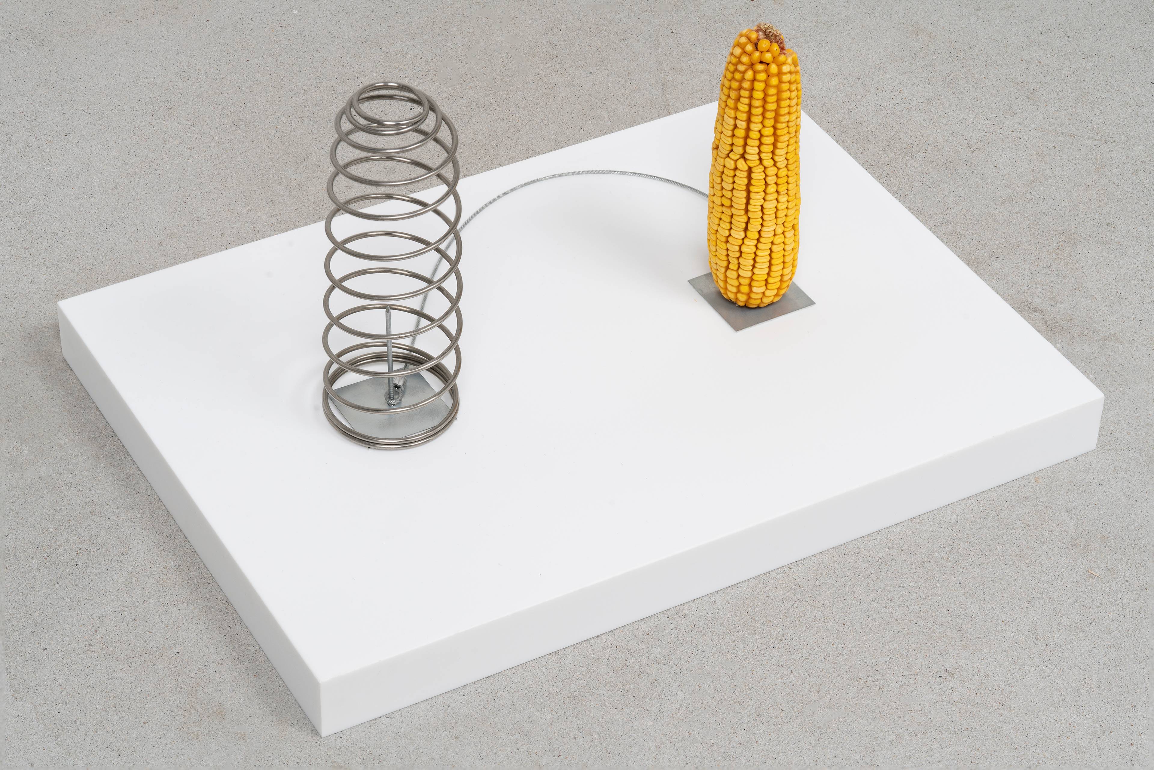 Media © Sweetwater 2025