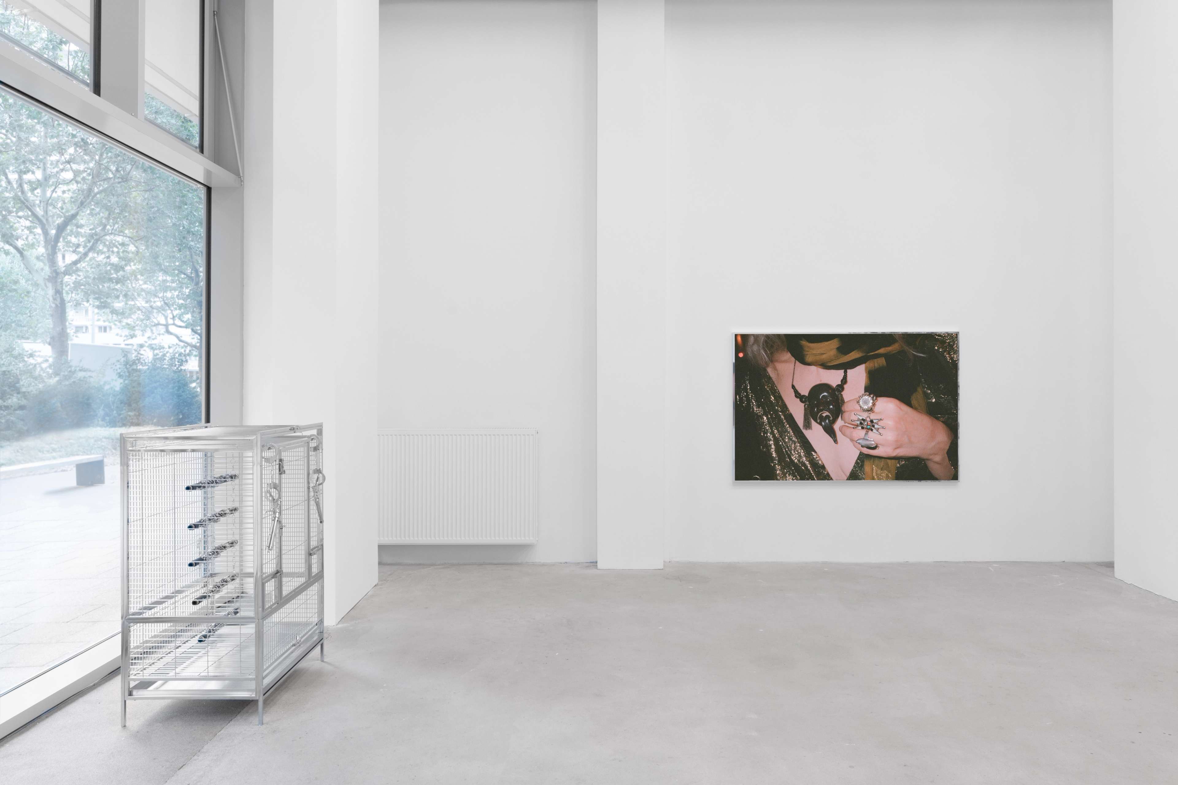 Media © Sweetwater 2025