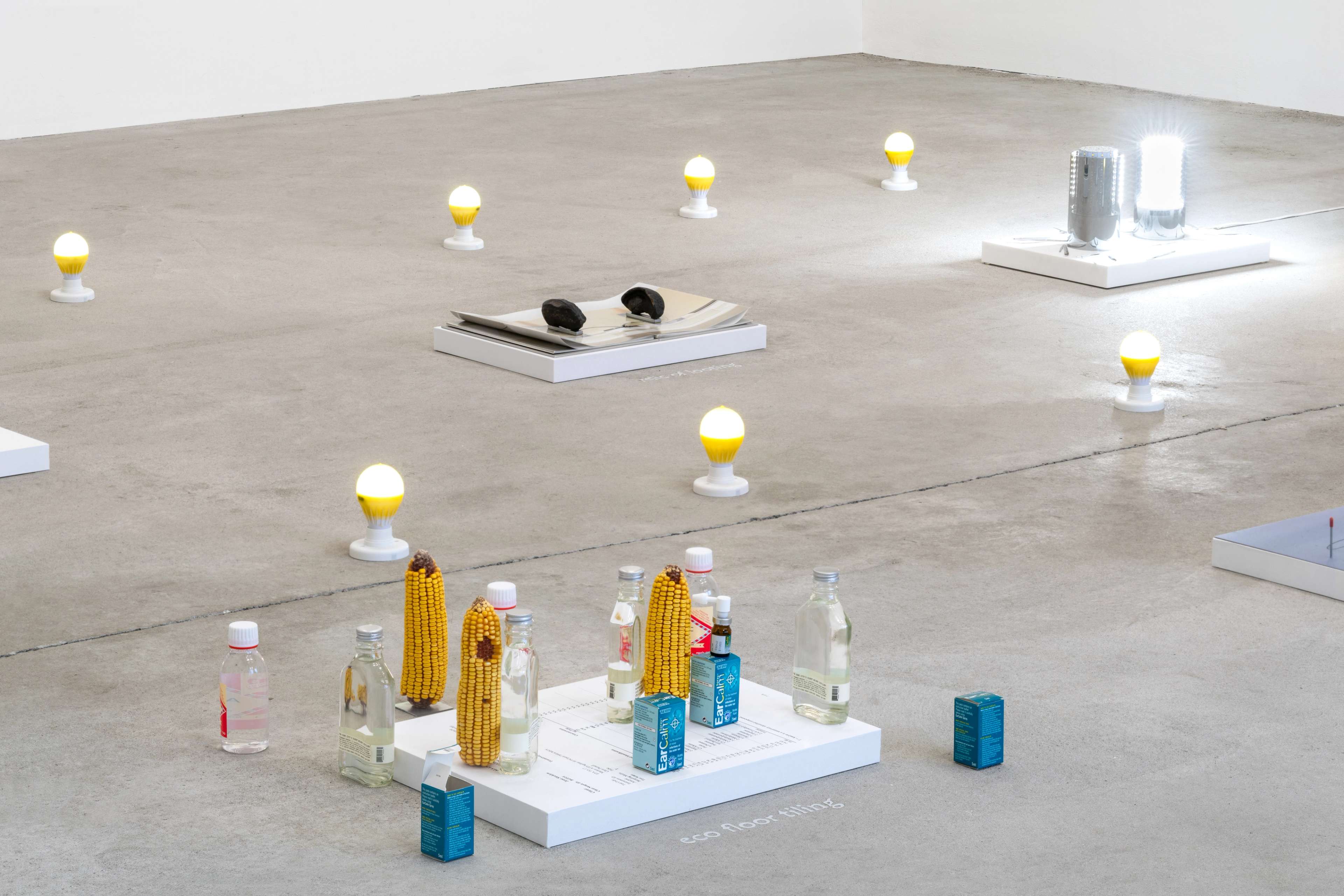 Media © Sweetwater 2025