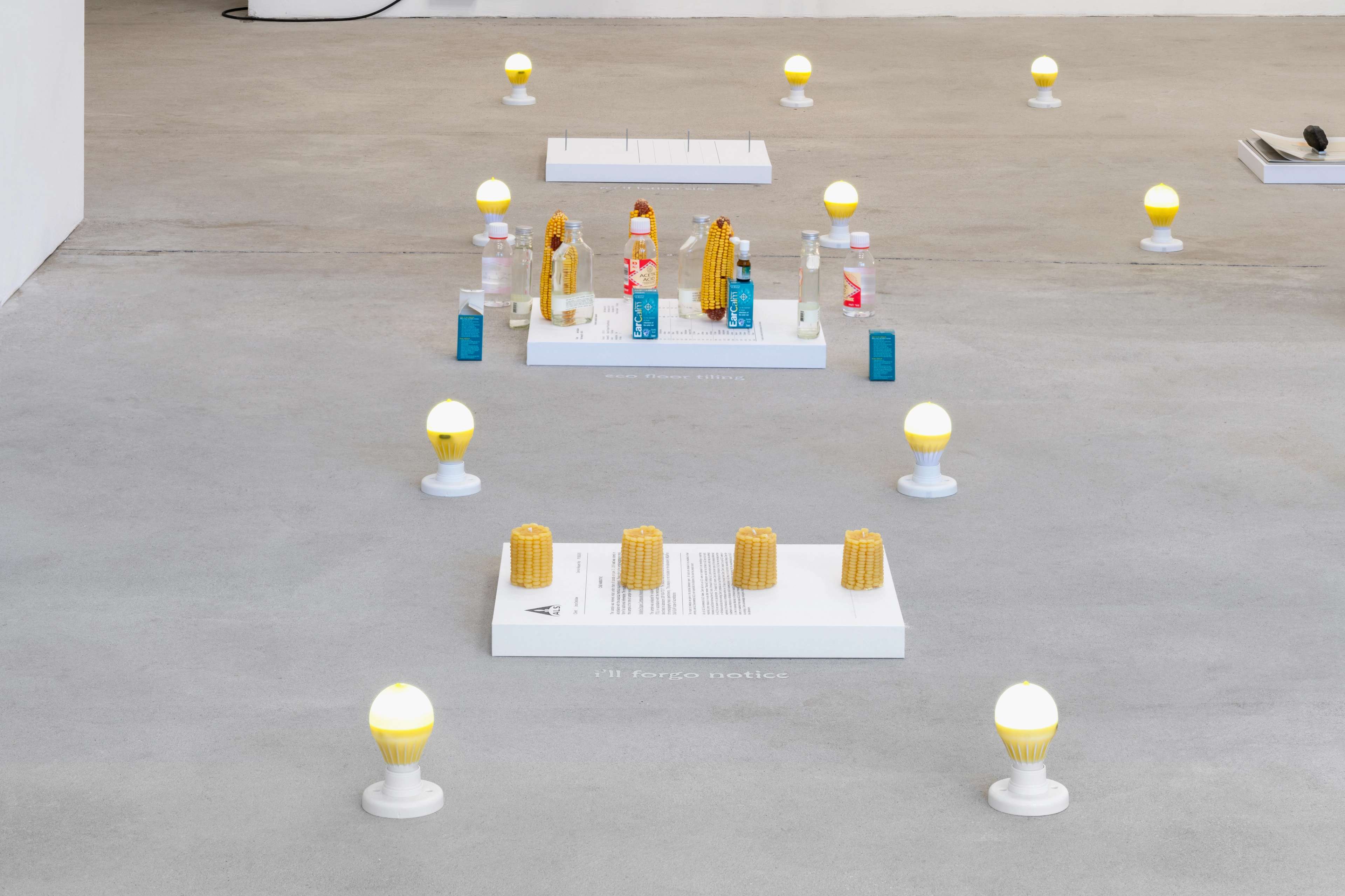 Media © Sweetwater 2025