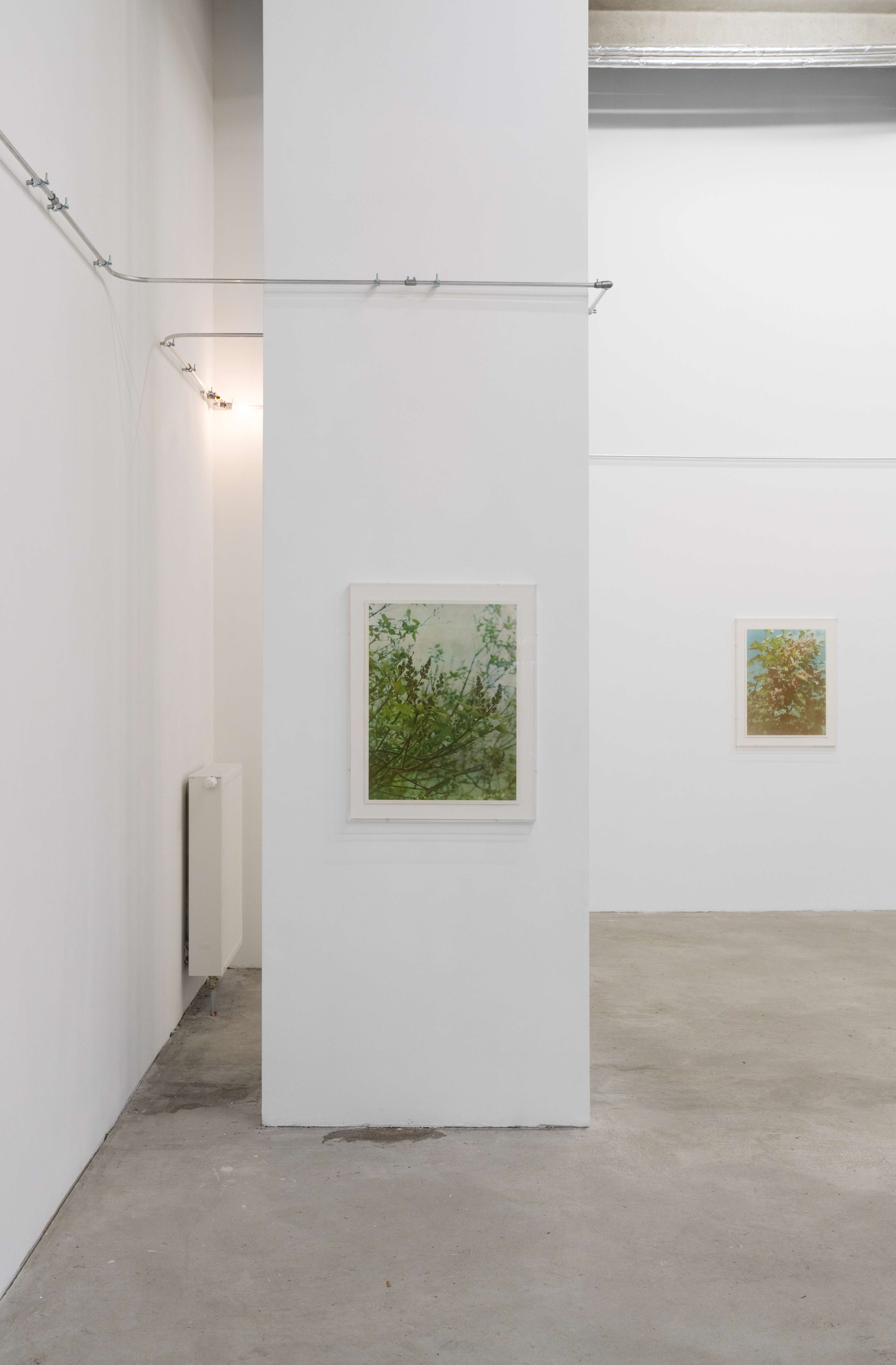 Media © Sweetwater 2025