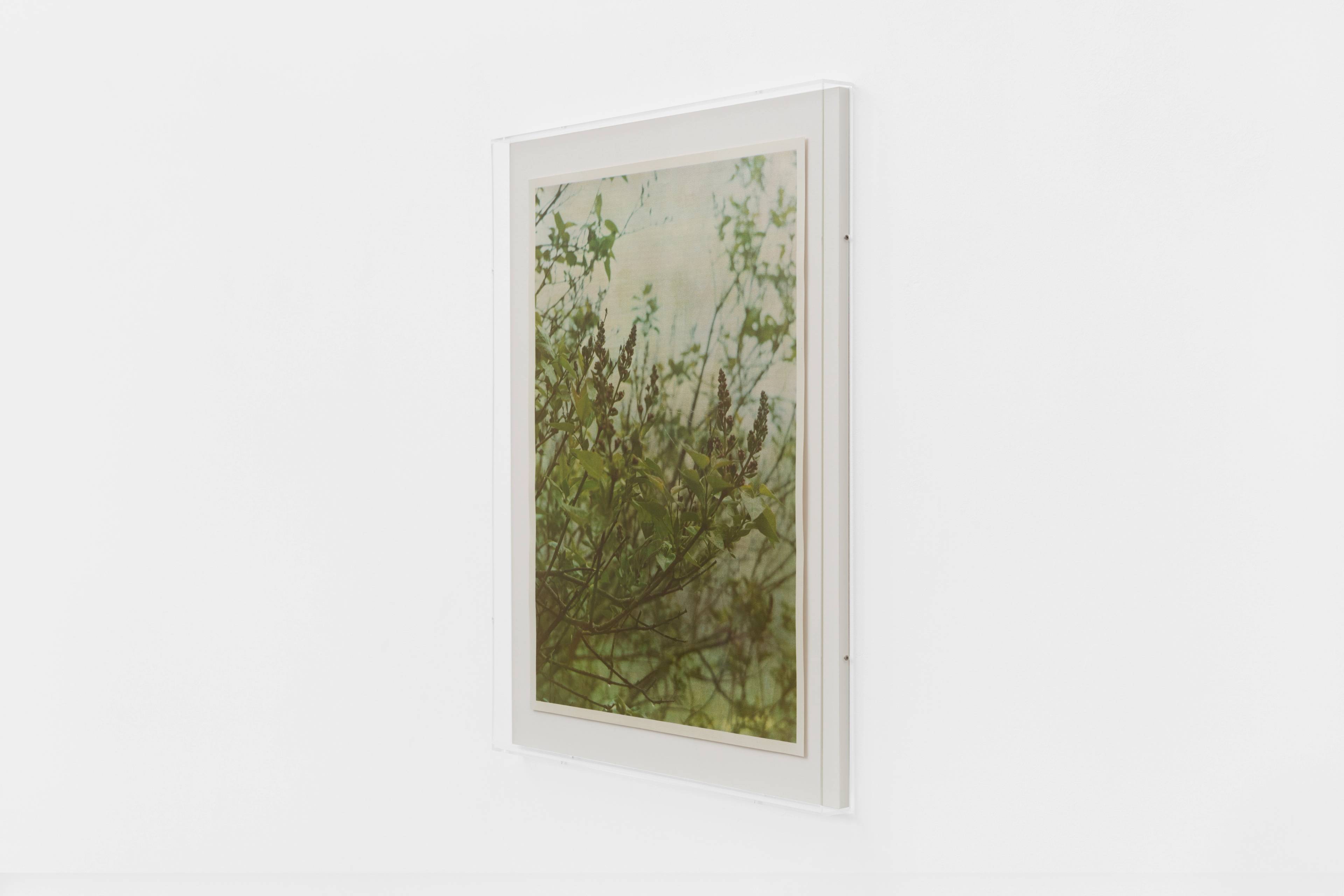 Media © Sweetwater 2025