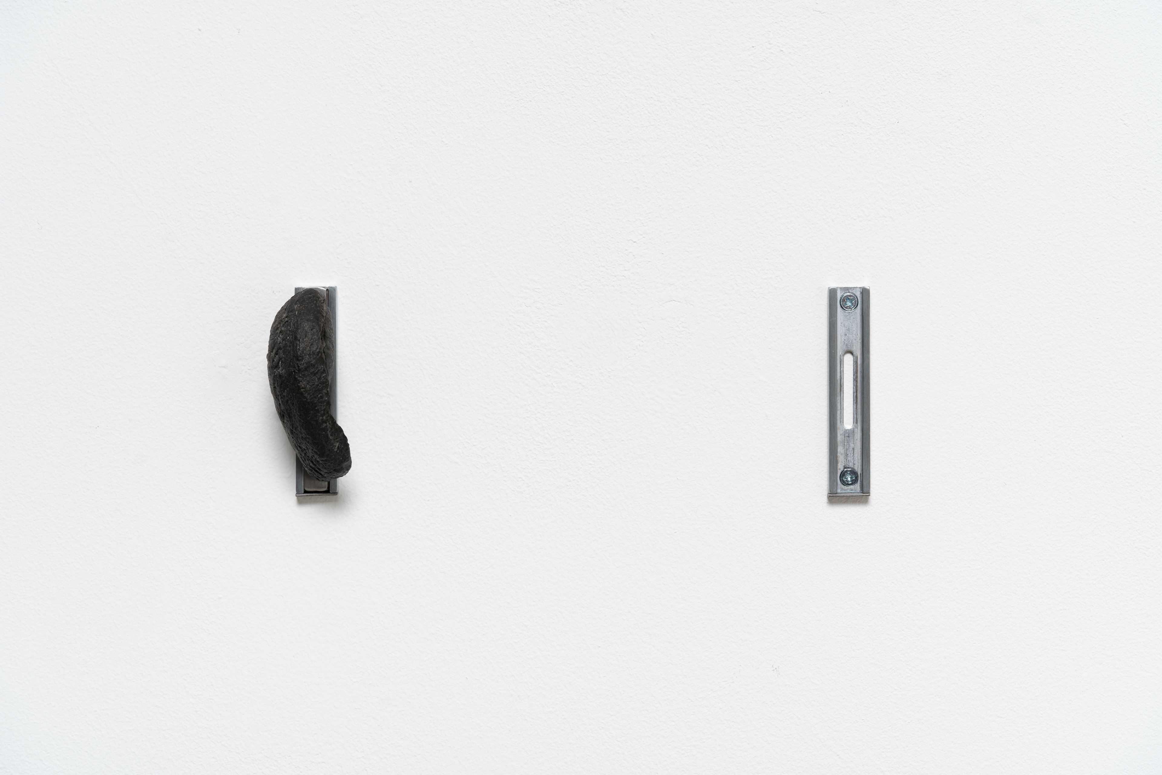 Jesse Stecklow