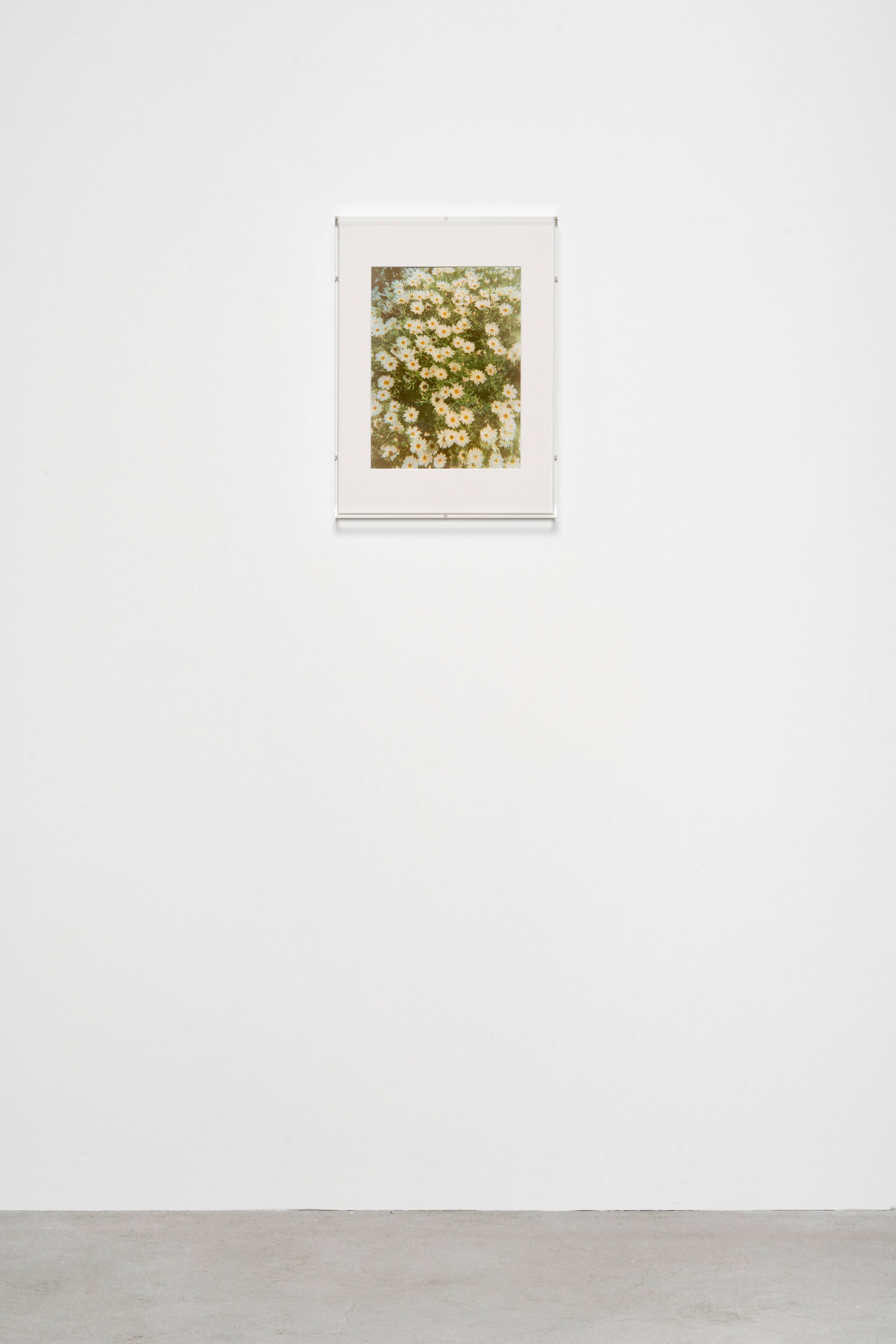 Media © Sweetwater 2025