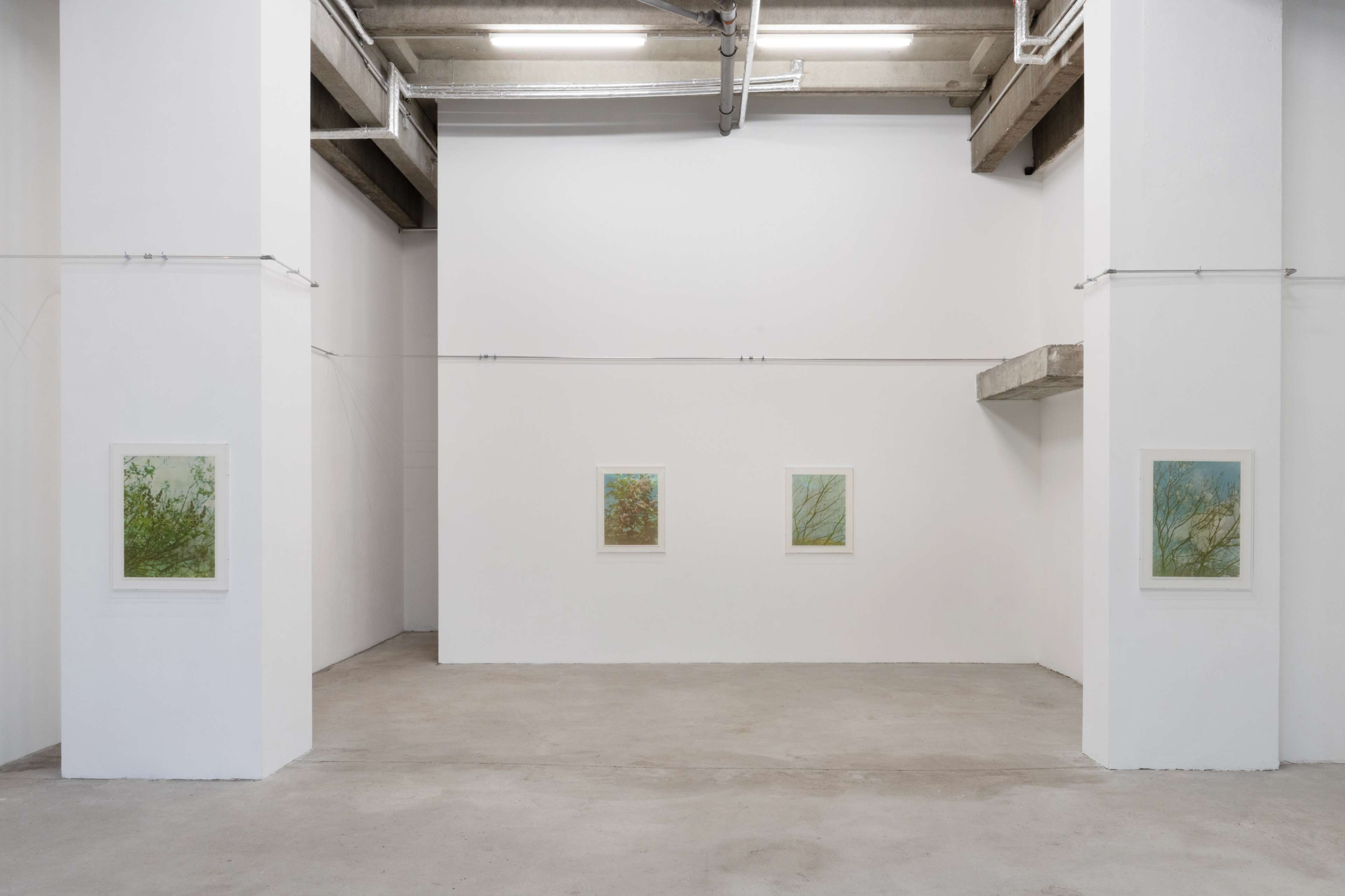 Media © Sweetwater 2025