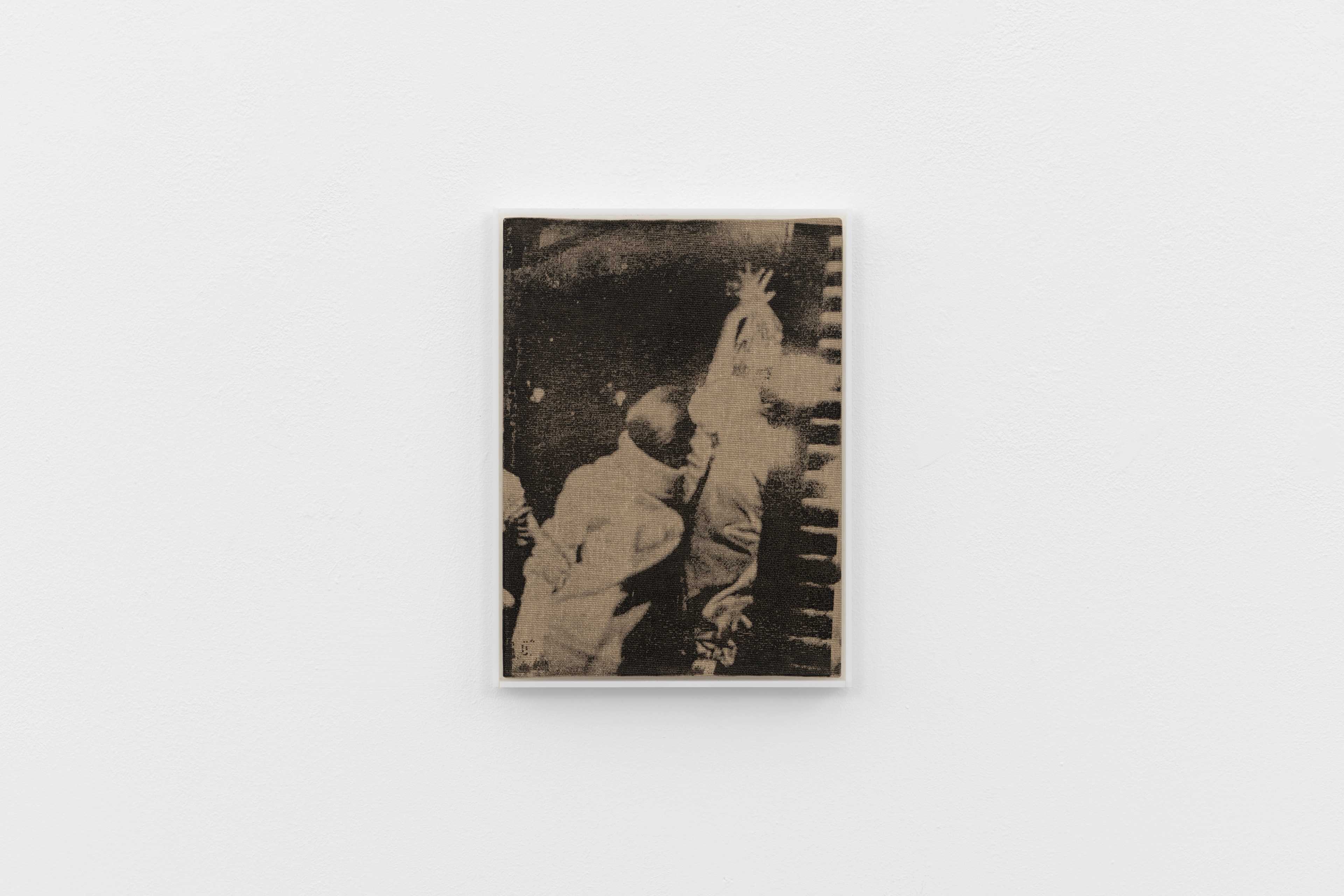 Hanna Stiegeler