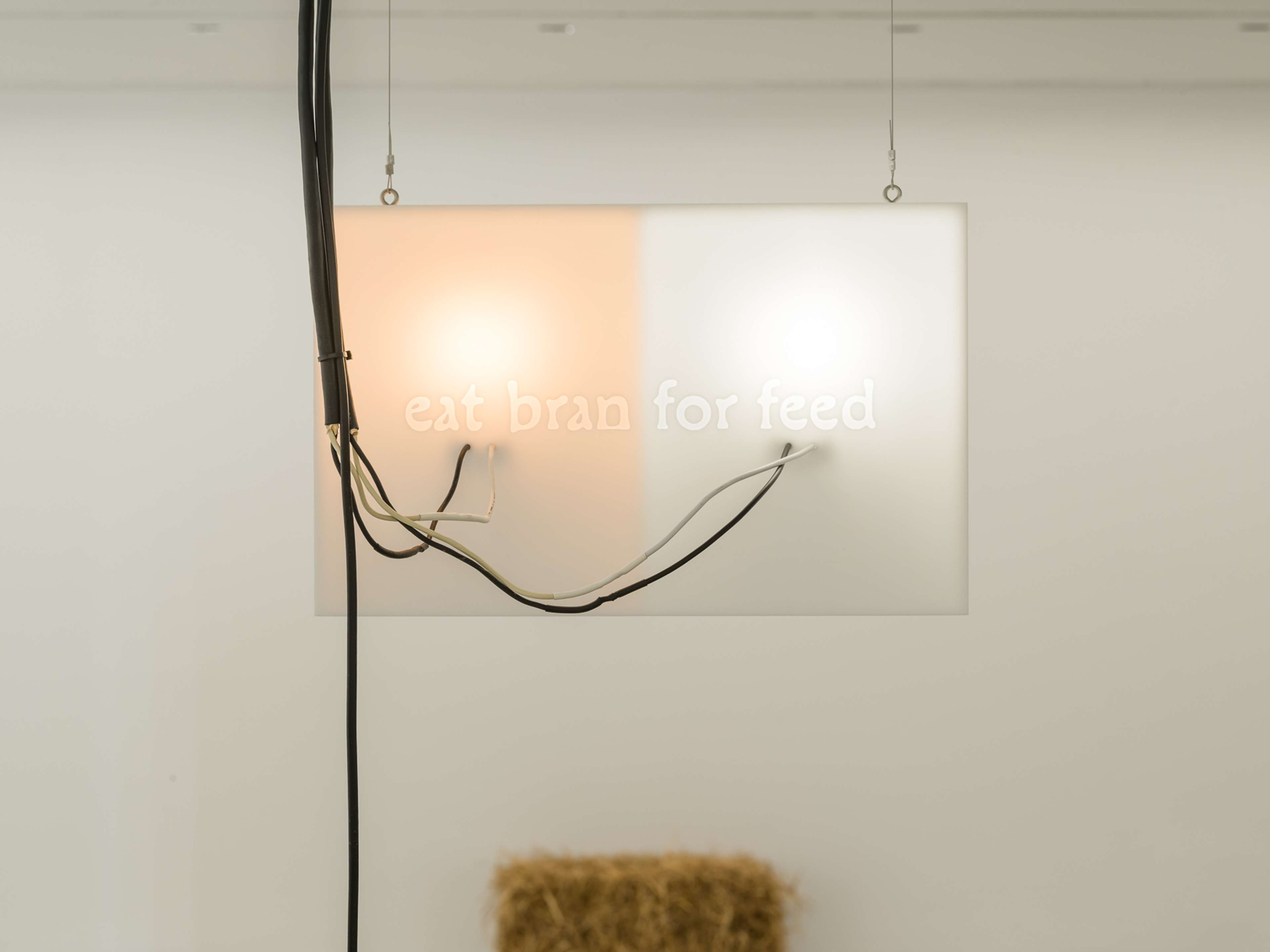 Media © Sweetwater 2025