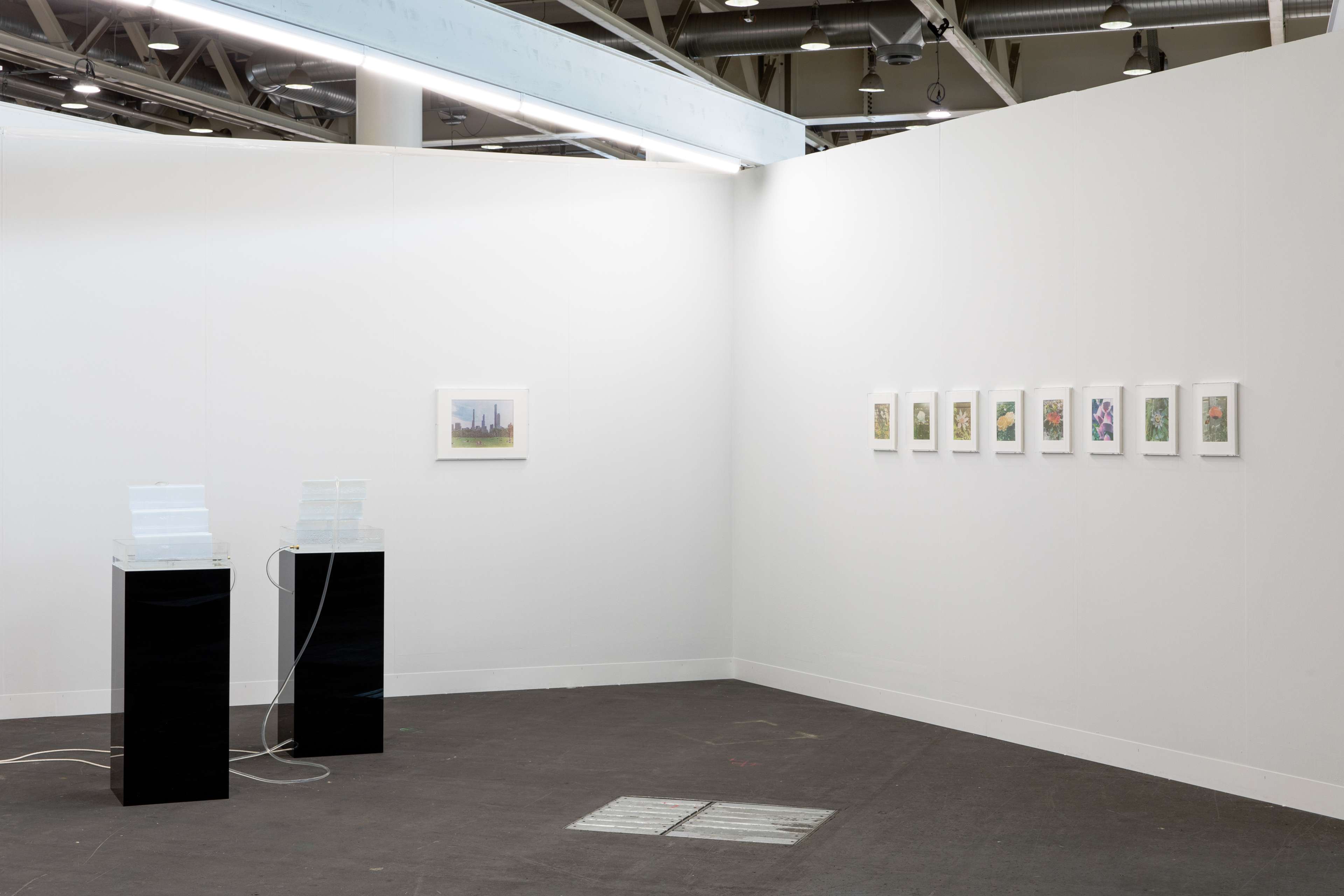 Media © Sweetwater 2025