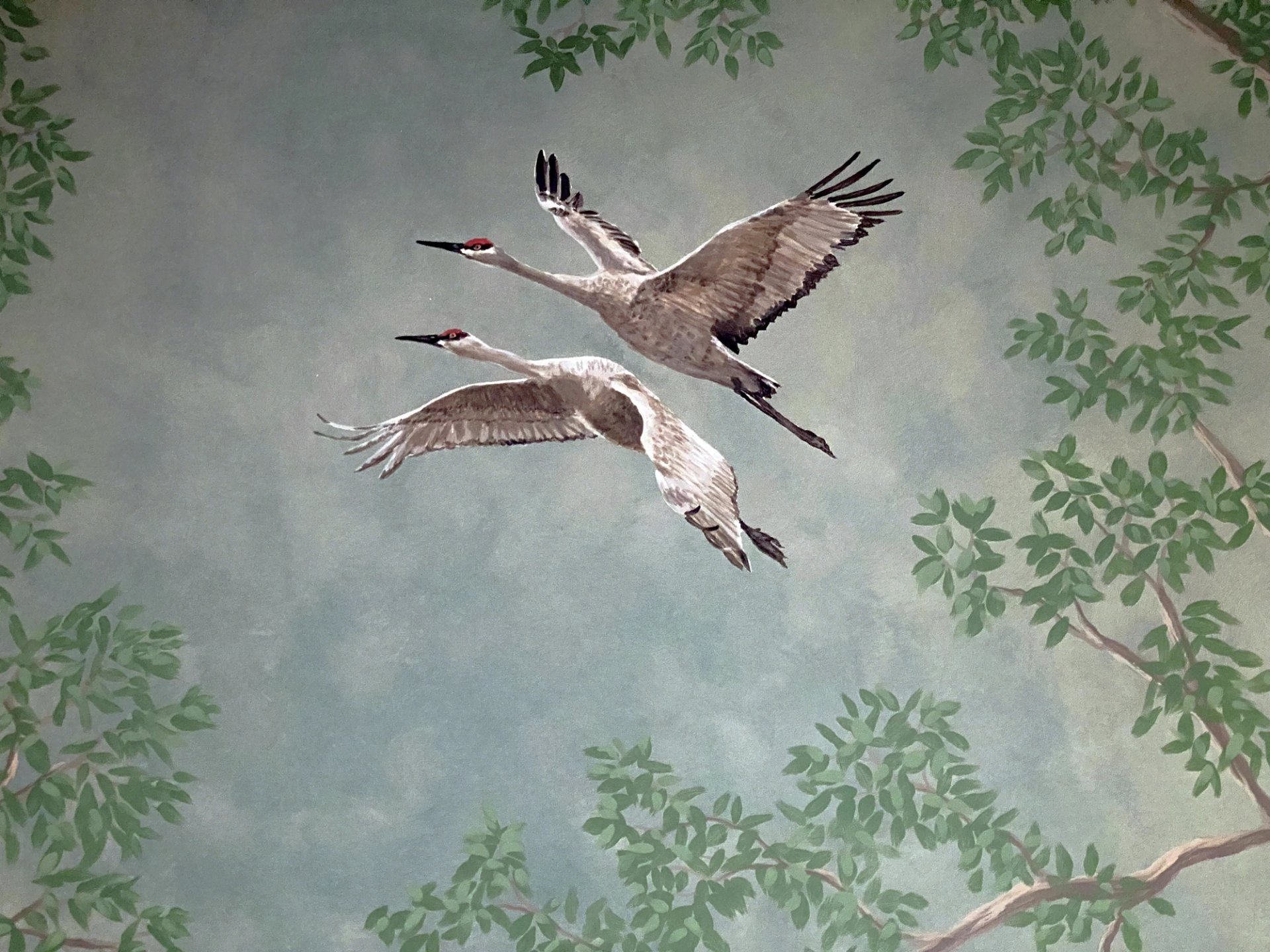 Hand-painted wall mural detail showing two sandhill cranes in flight framed by green foliage on soft blue-gray sky