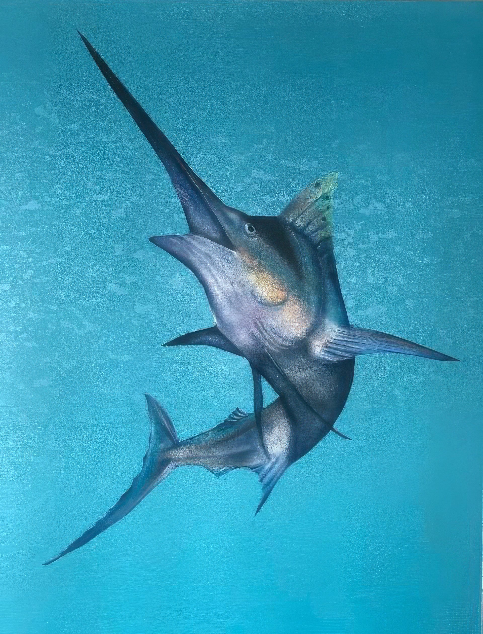 Hand-painted blue marlin sealife mural on commercial wall, Galveston themescape with teal ocean background, photorealistic.