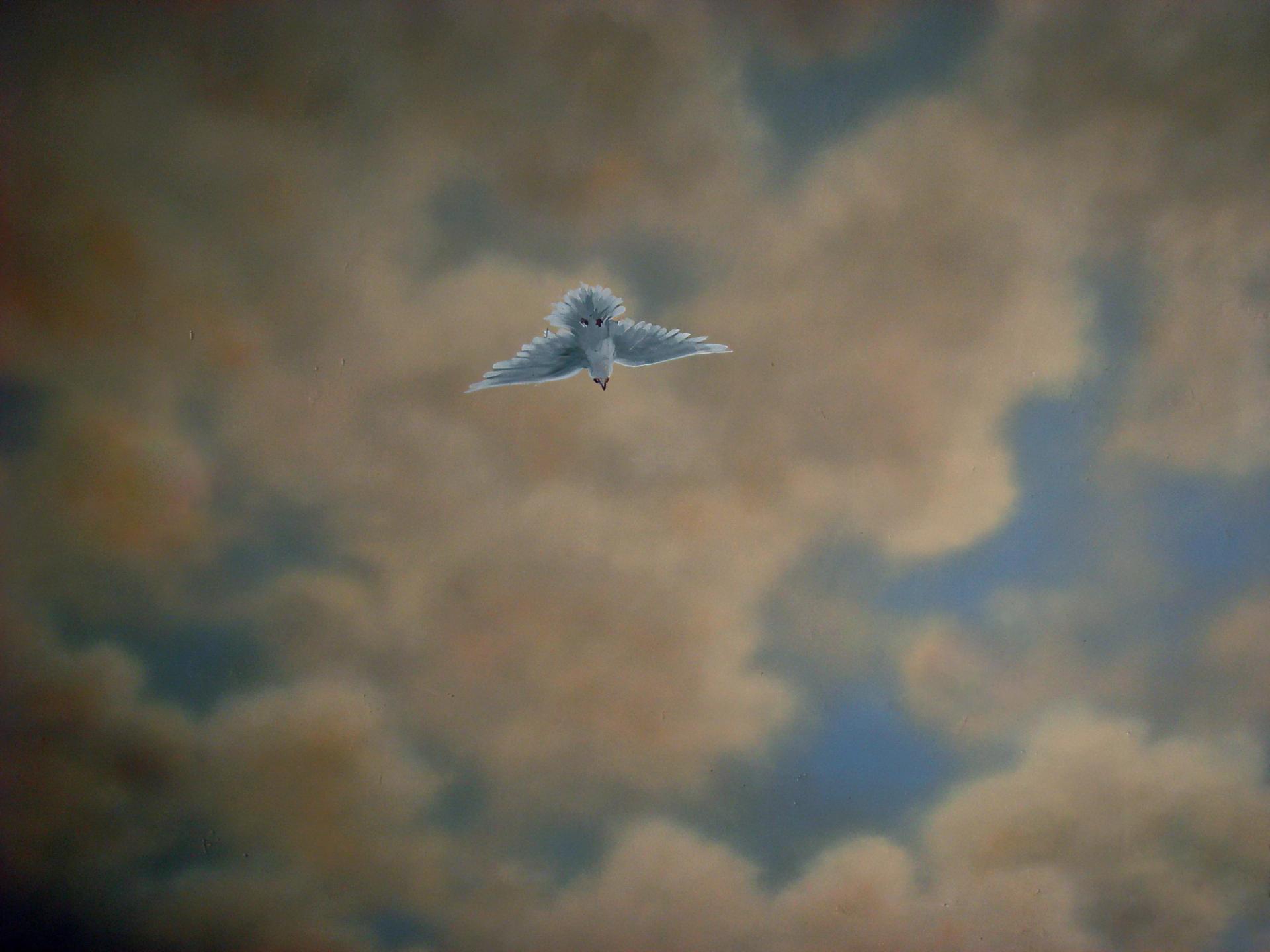 Hand-painted trompe l'oeil ceiling mural featuring a white dove in flight among warm golden clouds, Houston decorative finish