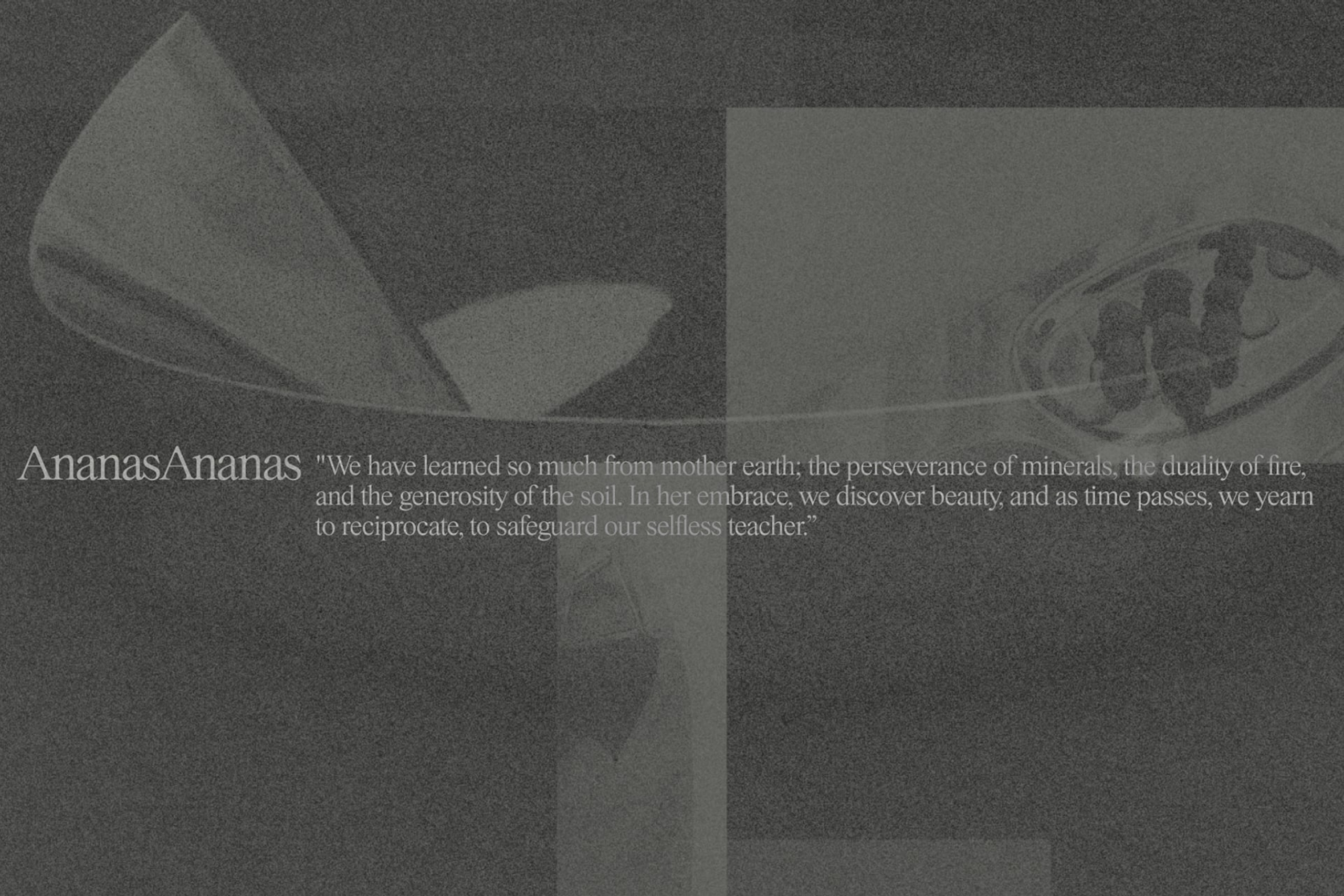 ananas main image