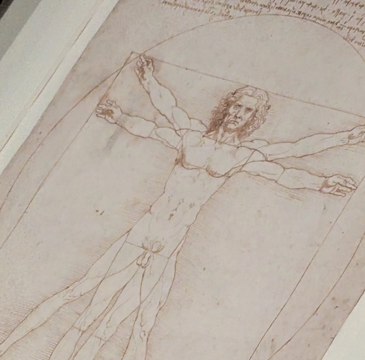 vitruvio's man by leonardo da vinci