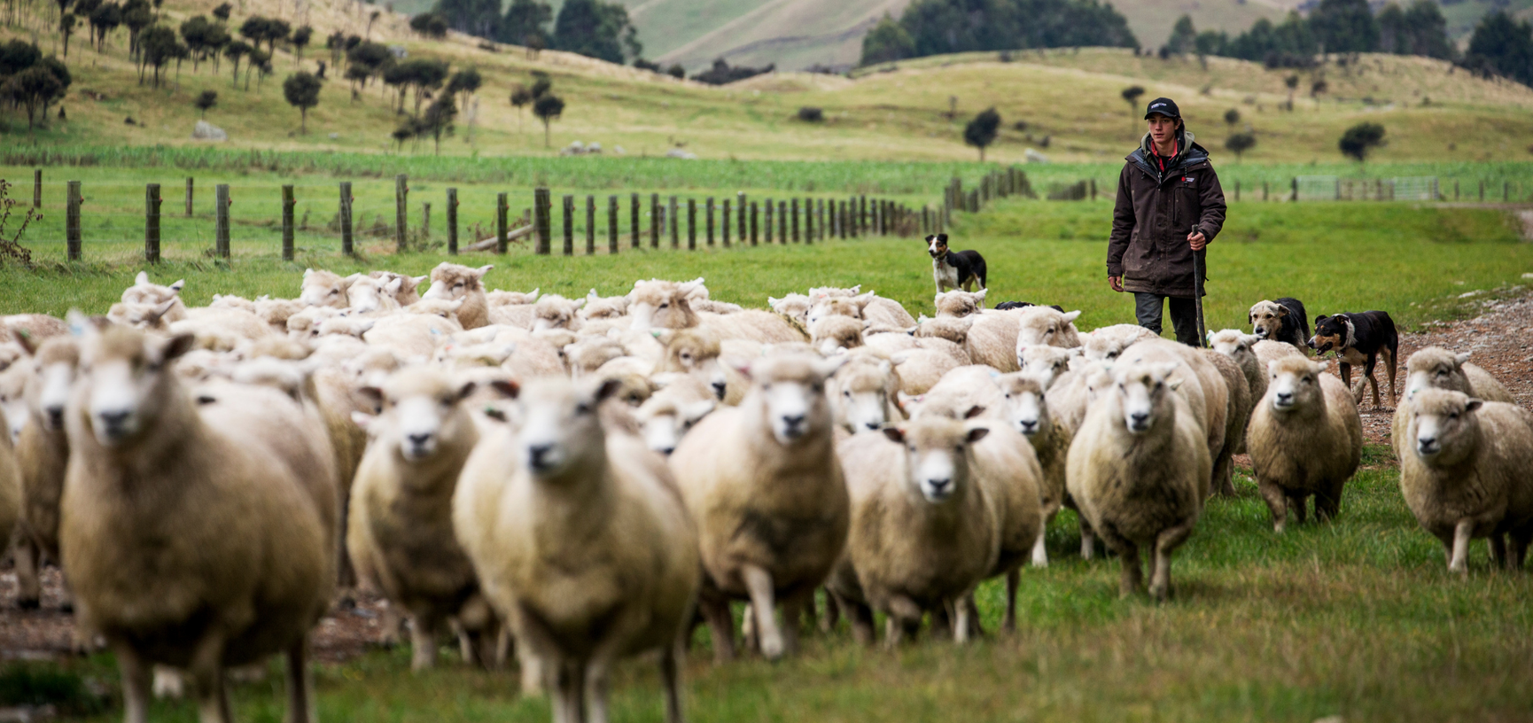 Merinowollbauern Aclima