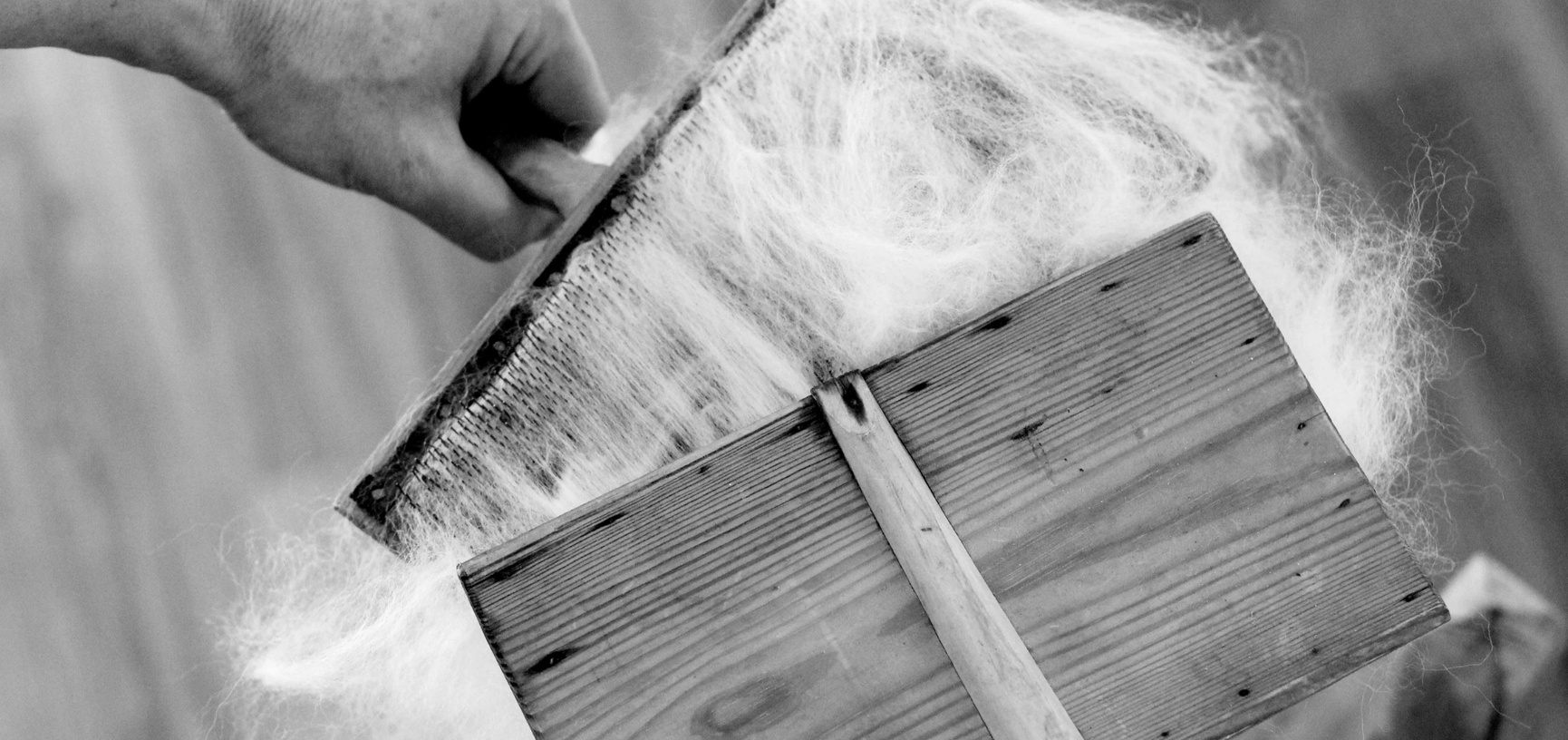 Aclima Beschaffung und Kardieren