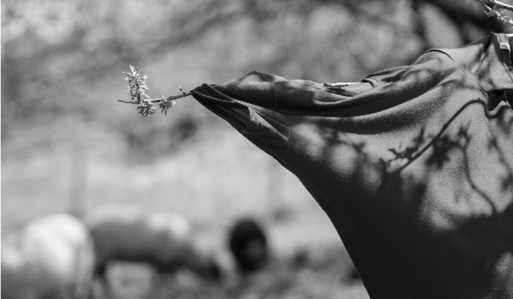 Handwäsche Wolle Aclima