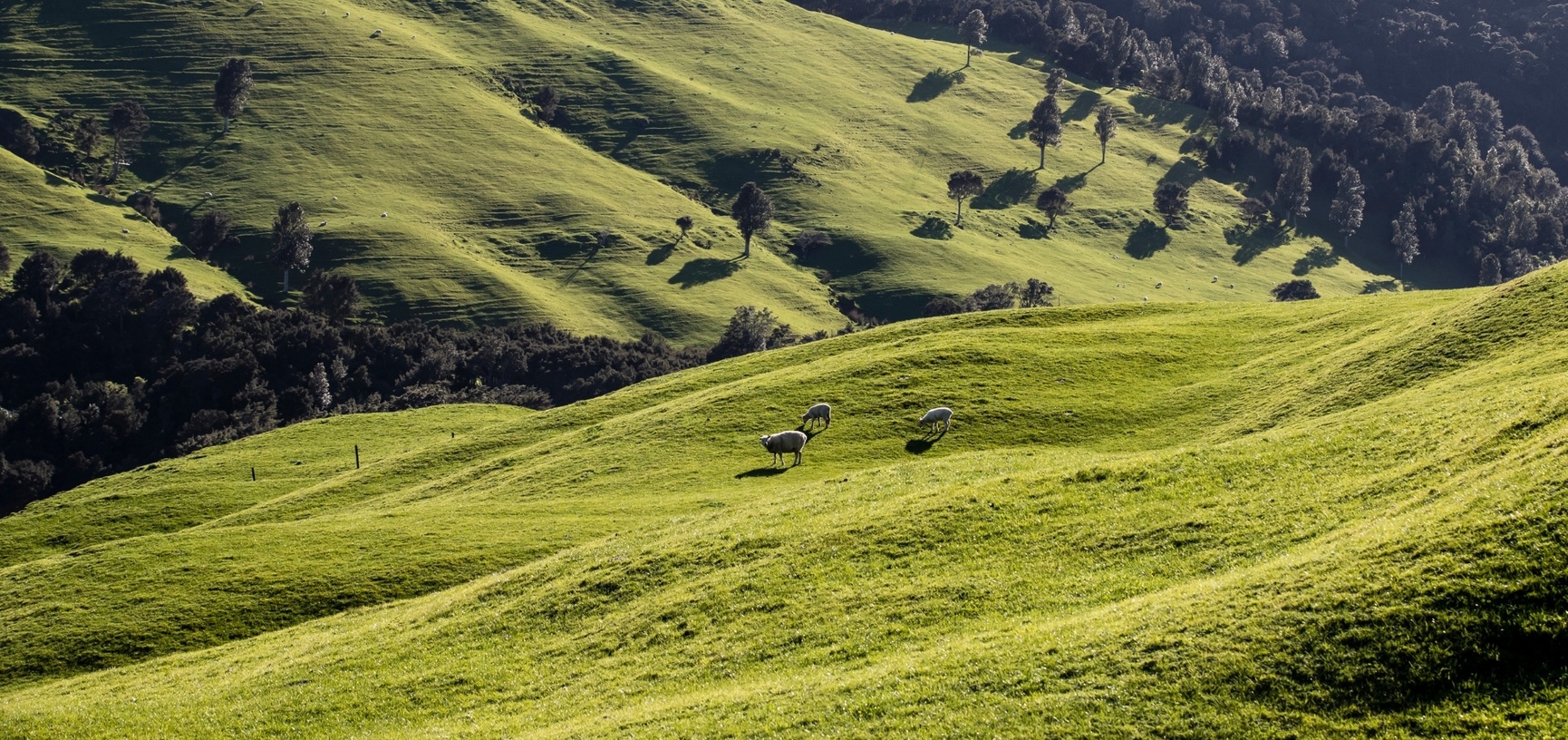Bærekraft hos Aclima
