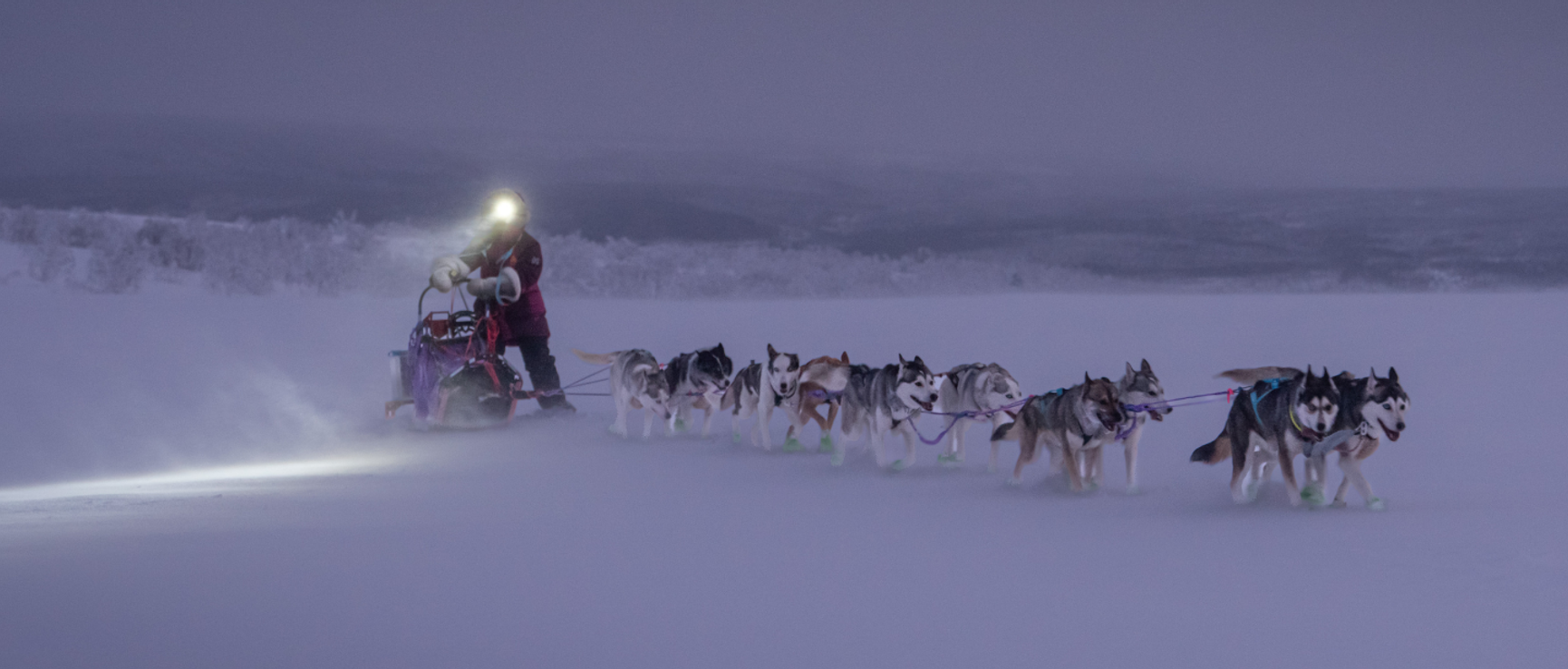 Aclima Finnmarksløpet