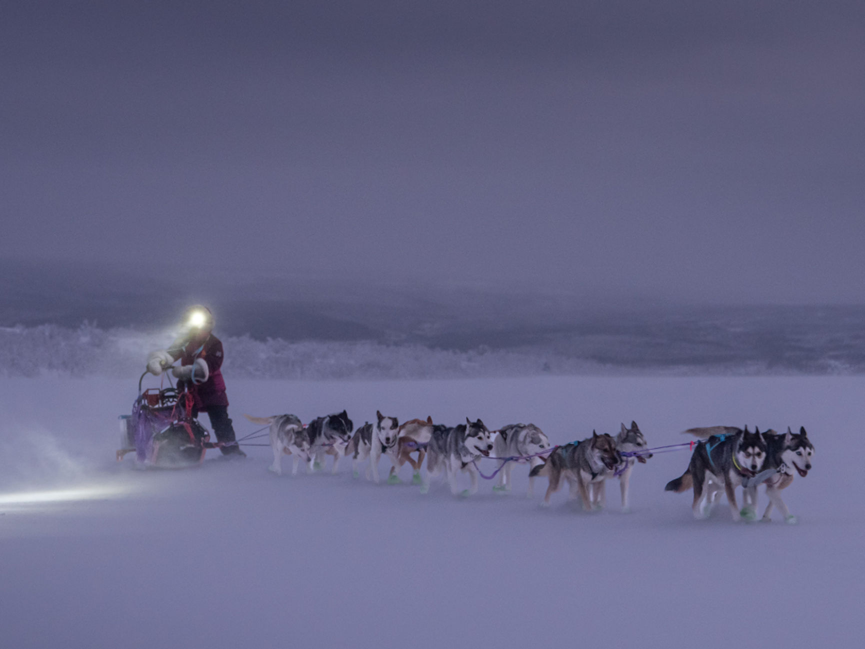 Aclima Finnmarksløpet