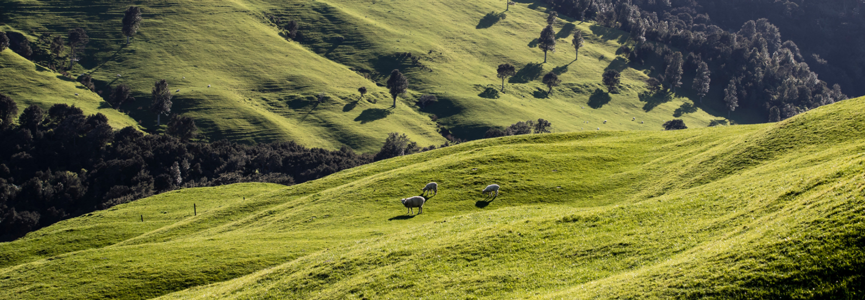 Aclima - Nachhaltigkeit für Menschen, Tiere und die Umwelt