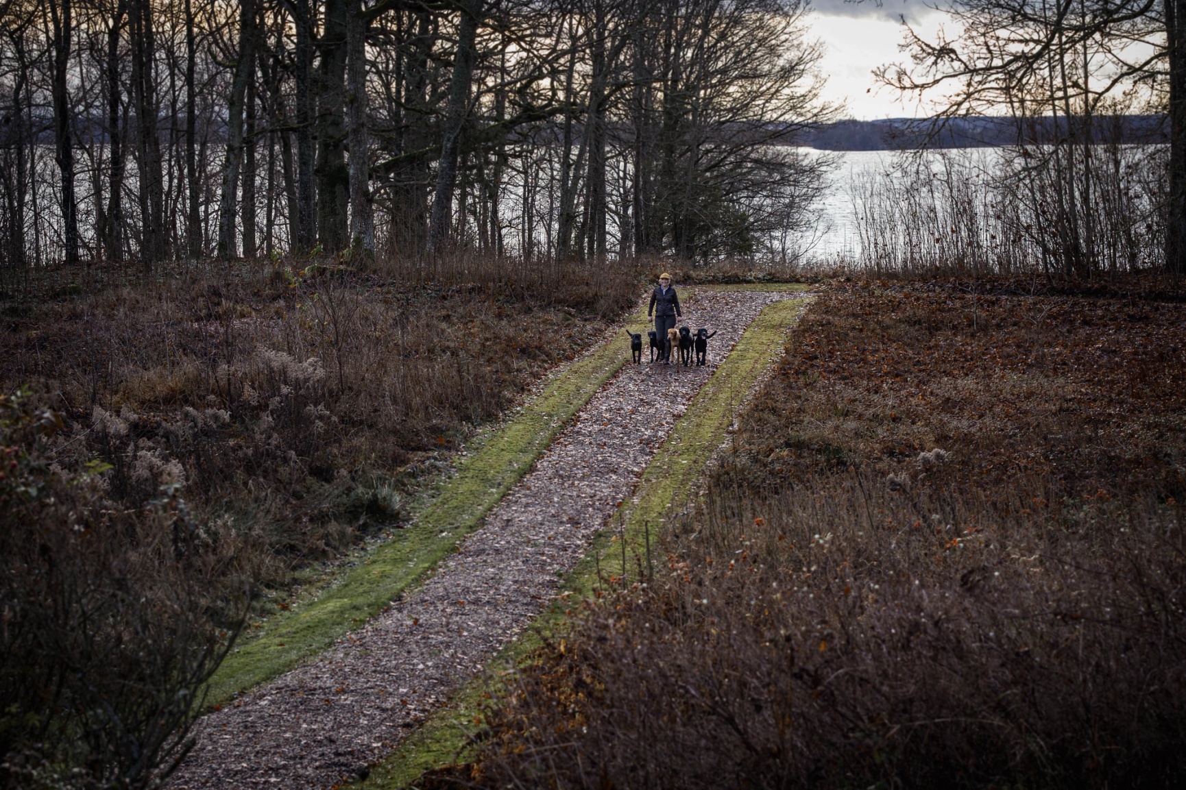 Fractus Dogsport Treggings - En skyddande överdragsbyxa för hundträning  - Vattentätt tyg och tejpade sömmar